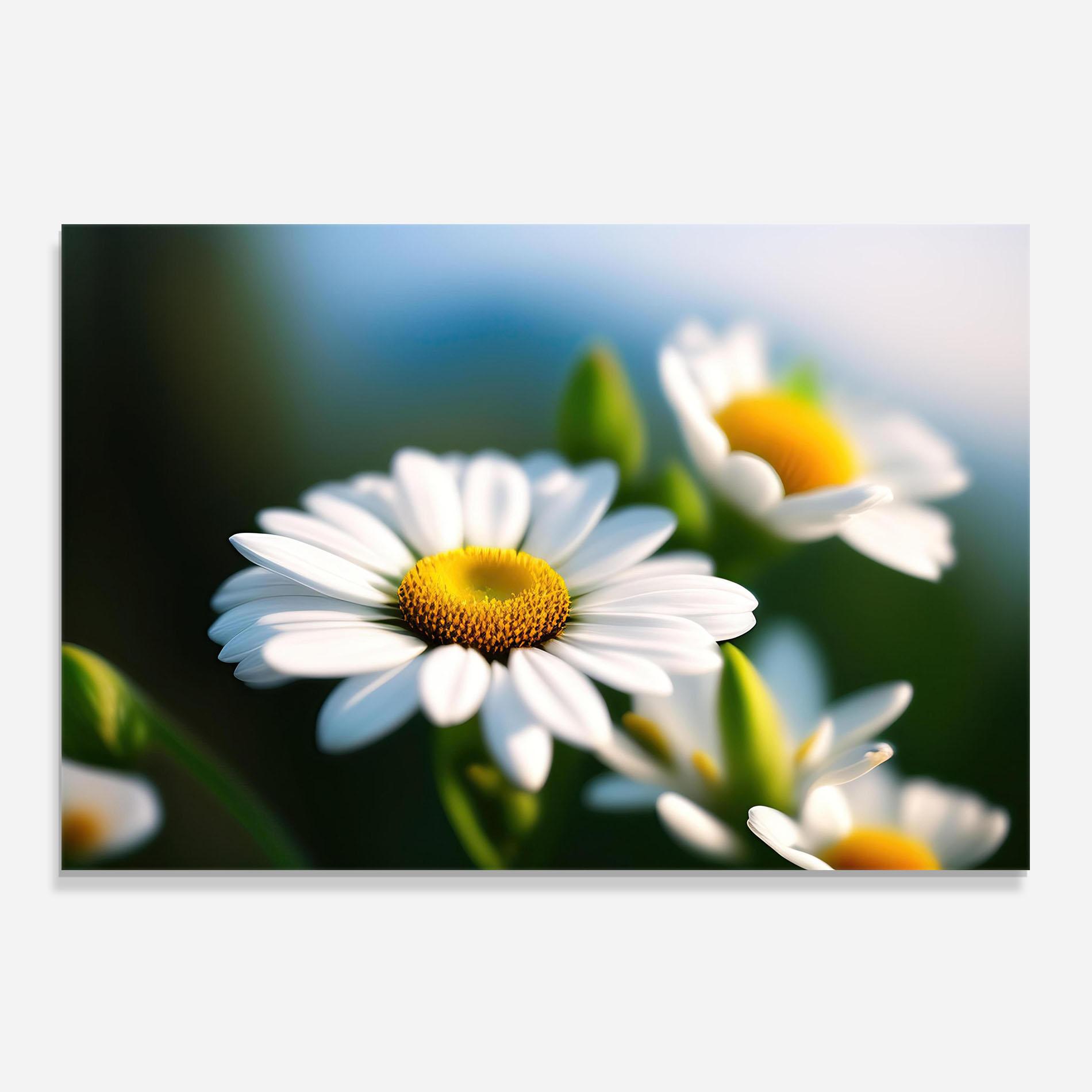 Konyhai üveg hátfal Daisy In The Sun mockup 0