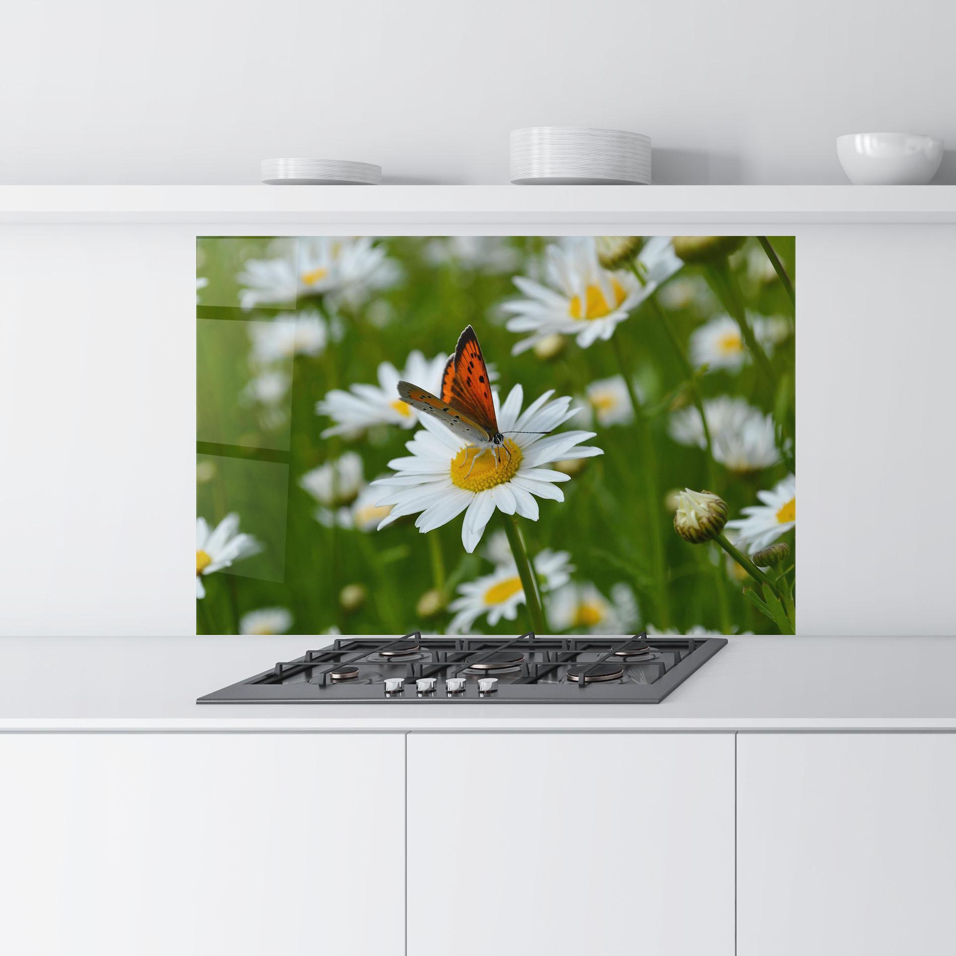 Konyhai üveg hátfal Butterfly On Daisy mockup 9