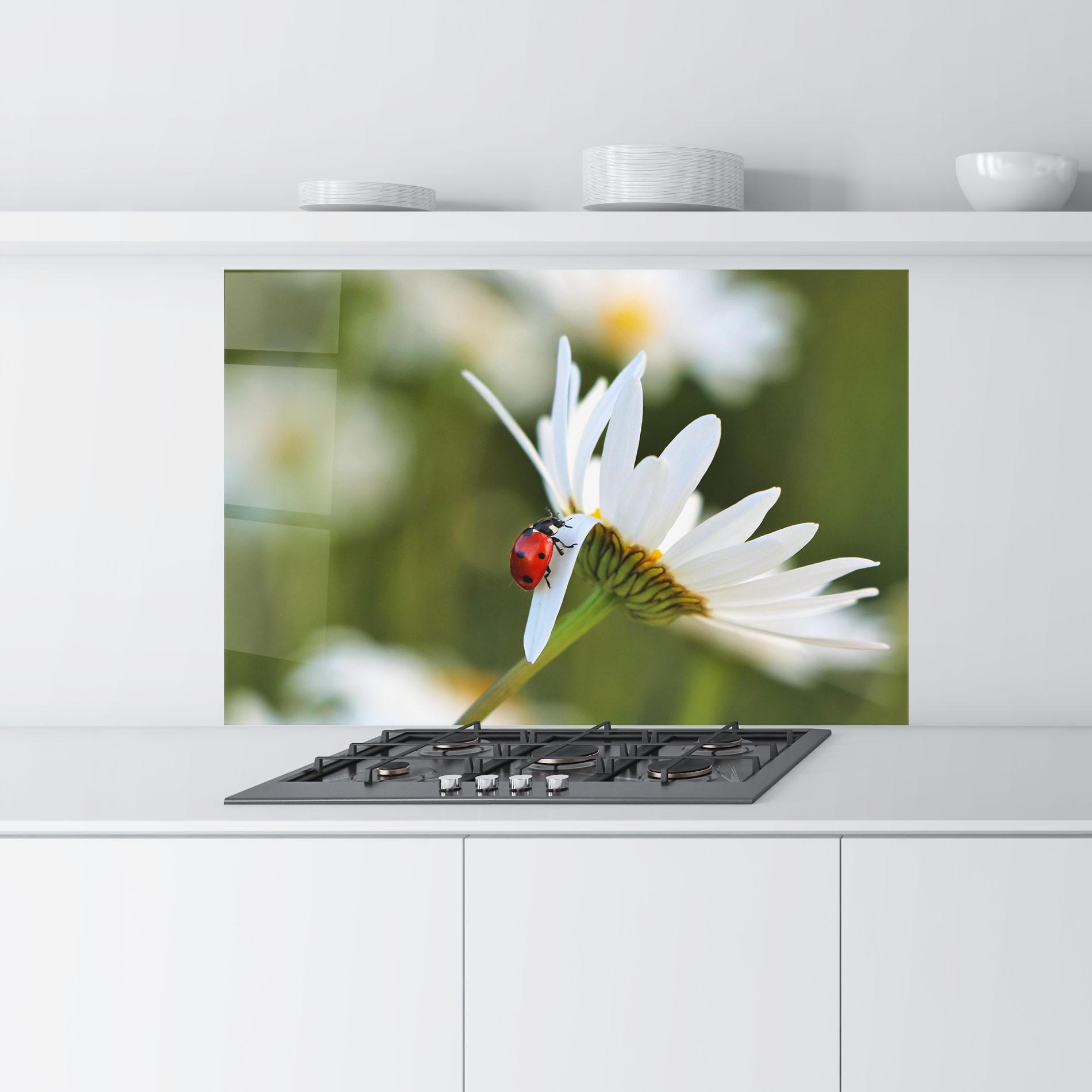 Konyhai üveg hátfal Ladybug On Daisy Petal mockup 9