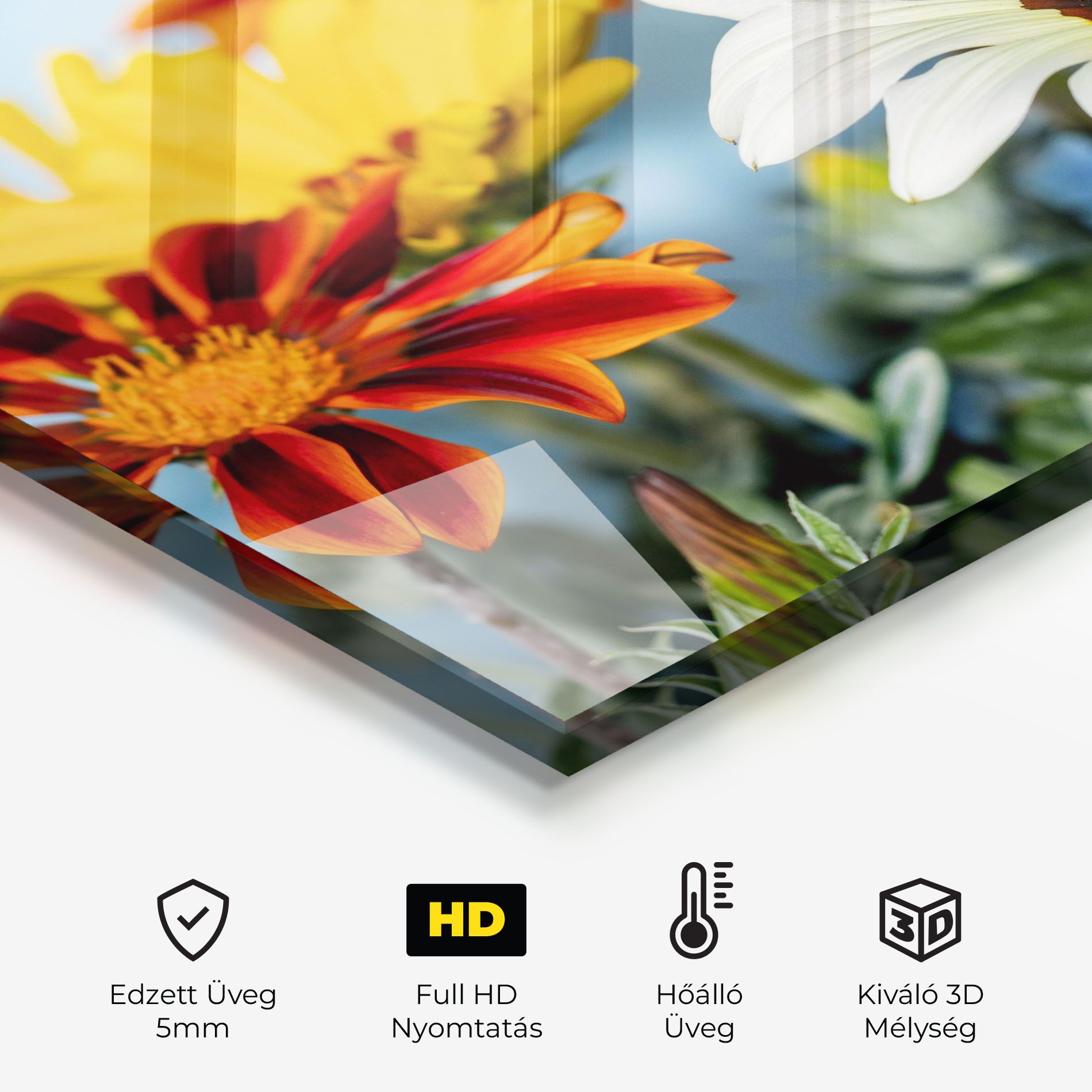 Color Mix Daisy mockup 2