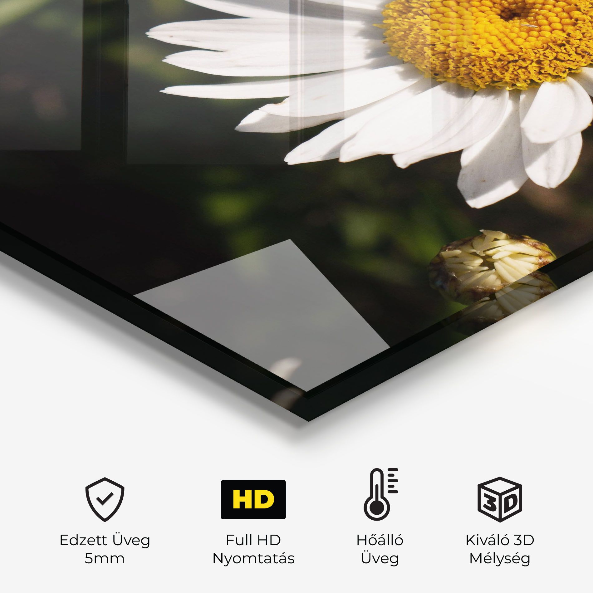 Daisy Enjoying The Sun mockup 2