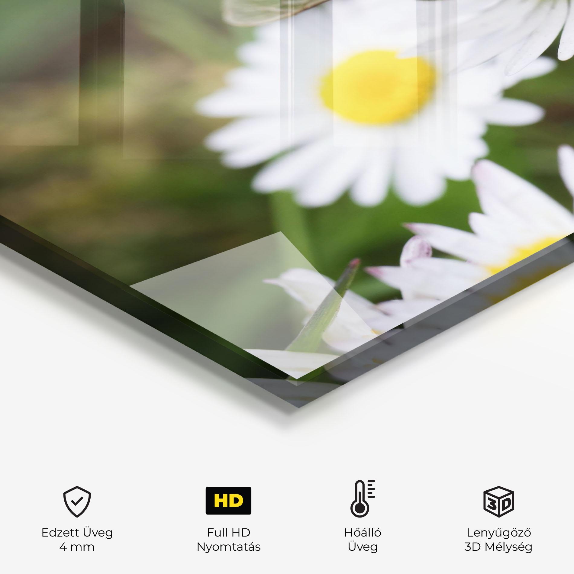 Konyhai üveg hátfal Bee On Little Daisy mockup 2