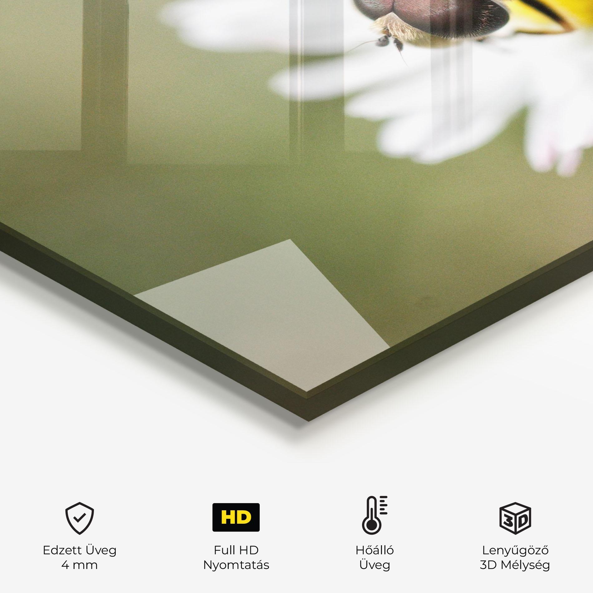 Konyhai üveg hátfal Bee On Small Daisy mockup 2
