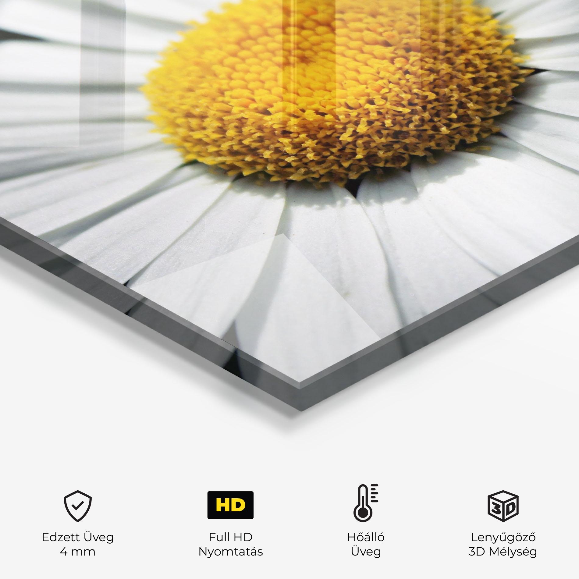 Konyhai üveg hátfal Big Daisies mockup 2