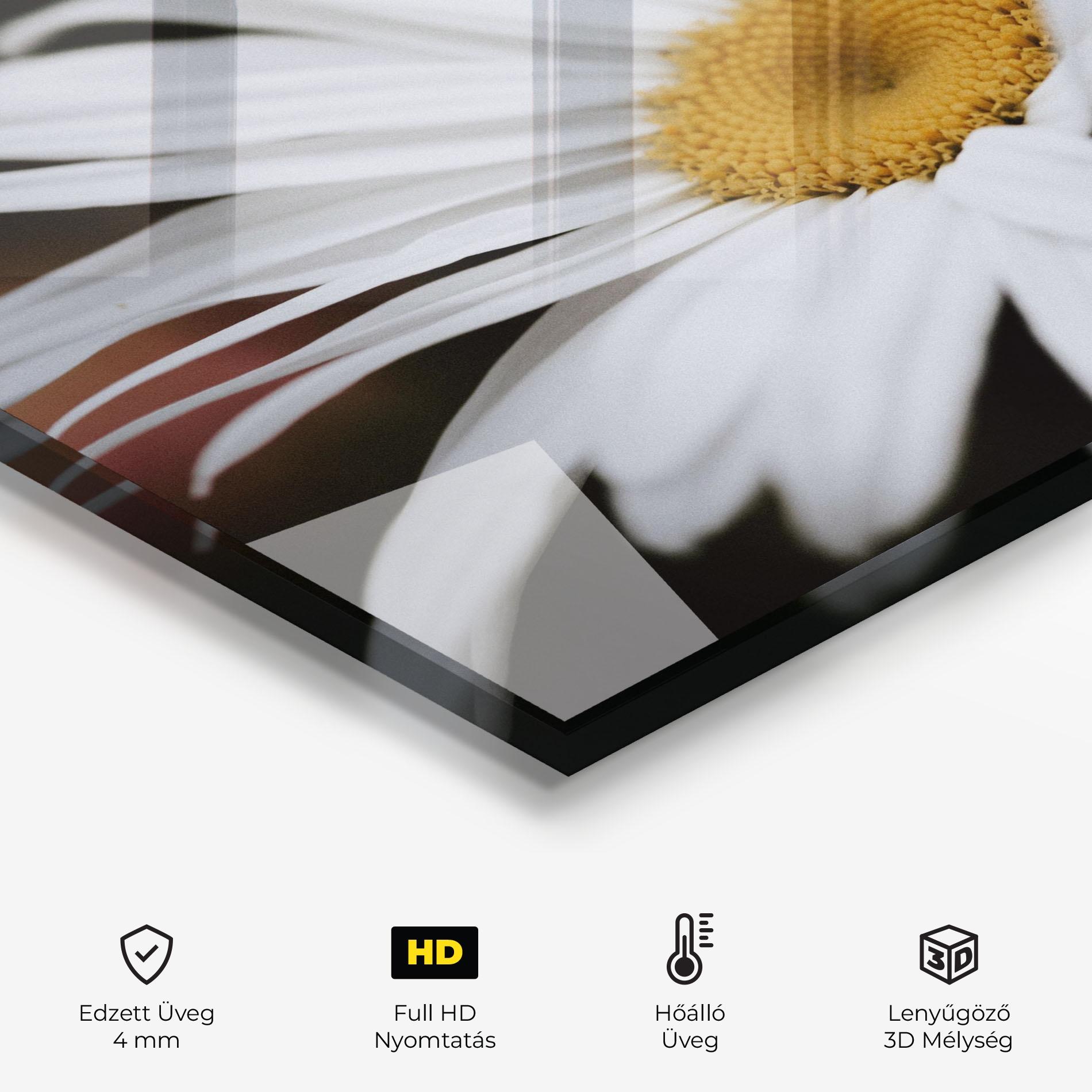 Konyhai üveg hátfal Big Daisy mockup 2