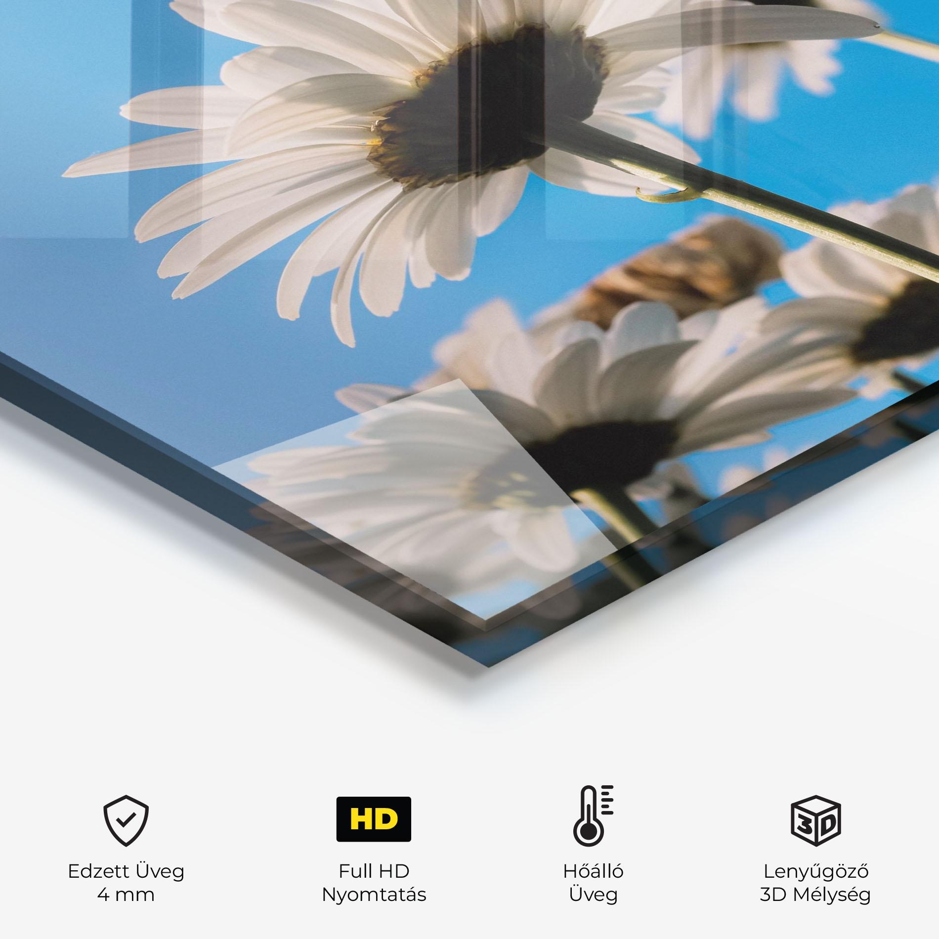 Konyhai üveg hátfal Blue Sky Daisy mockup 2