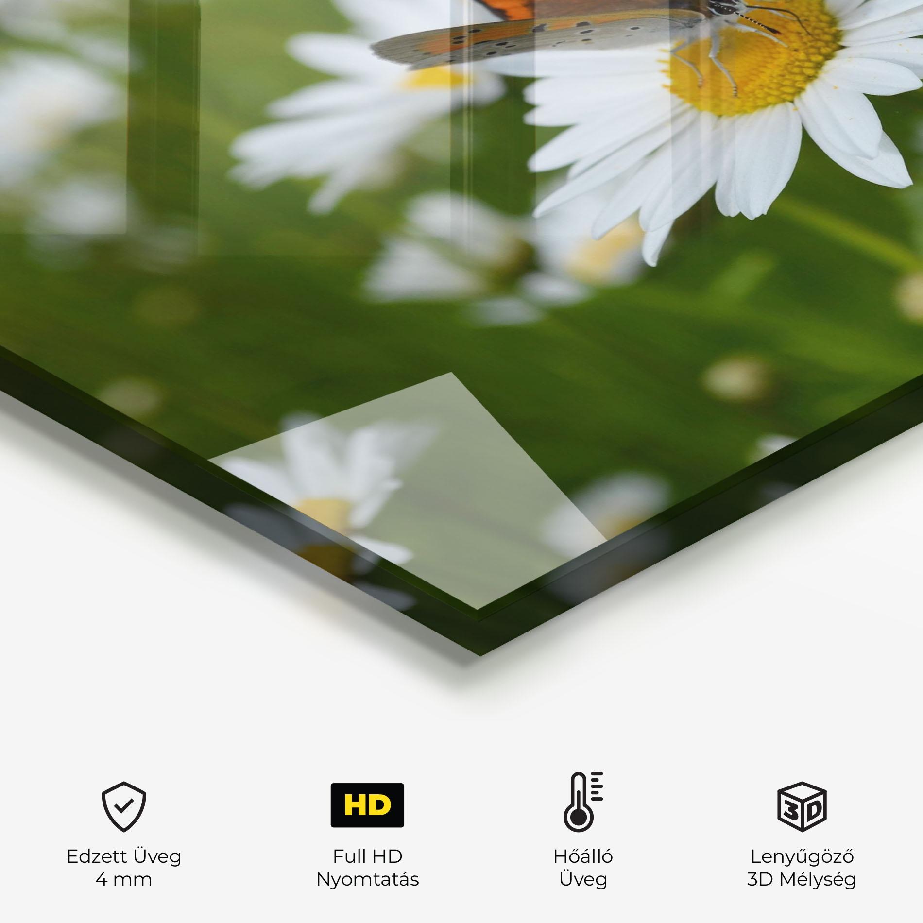 Konyhai üveg hátfal Butterfly On Daisy mockup 2