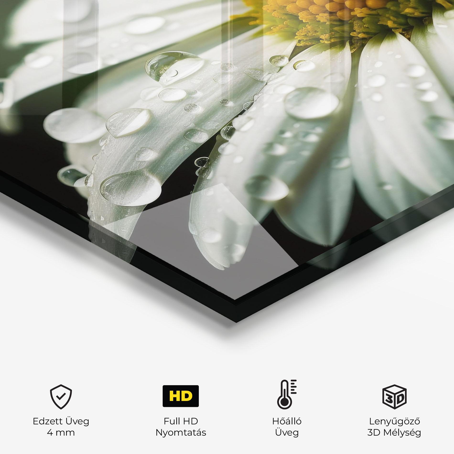 Konyhai üveg hátfal Close Up Daisy After Rain mockup 2