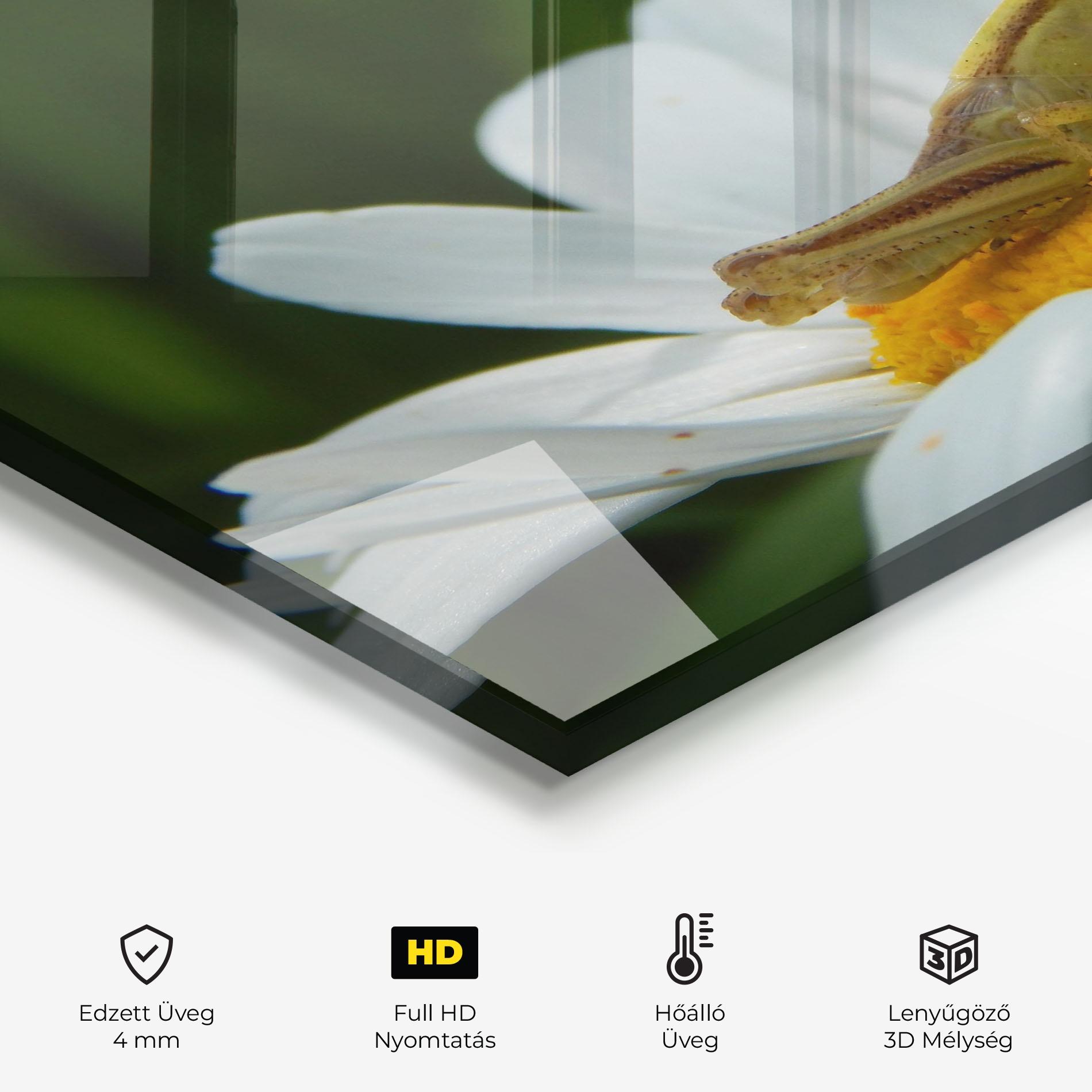 Konyhai üveg hátfal Cricket On Daisy mockup 2