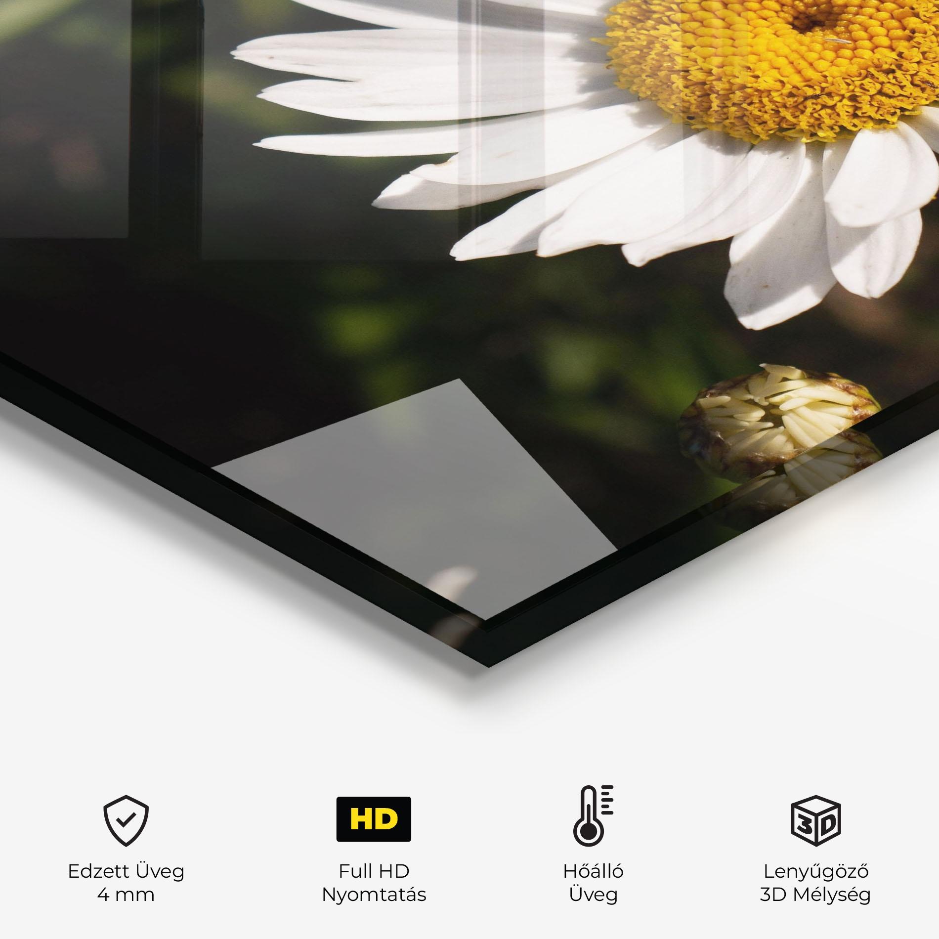 Konyhai üveg hátfal Daisy Enjoying The Sun mockup 2