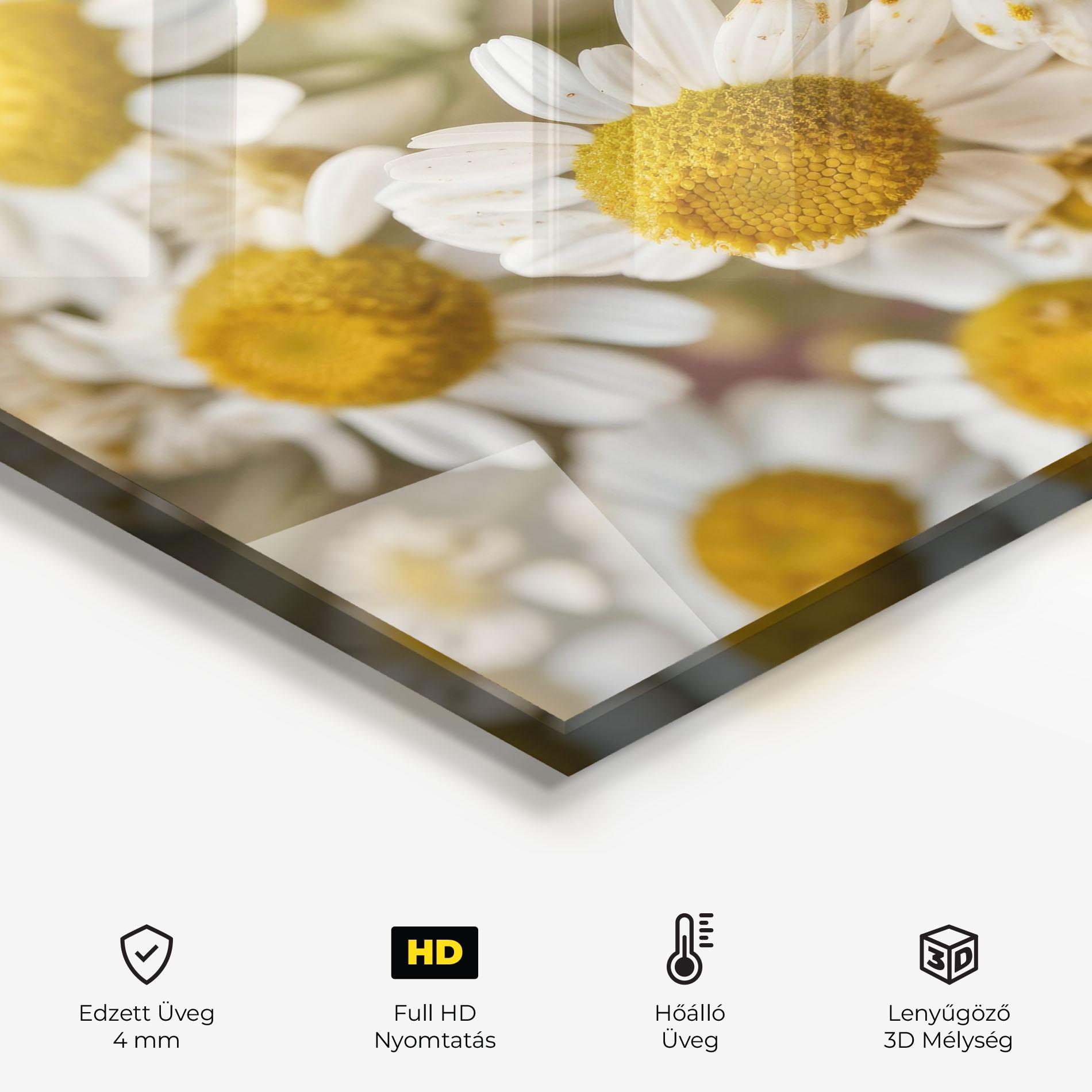 Konyhai üveg hátfal Daisy Wall mockup 2