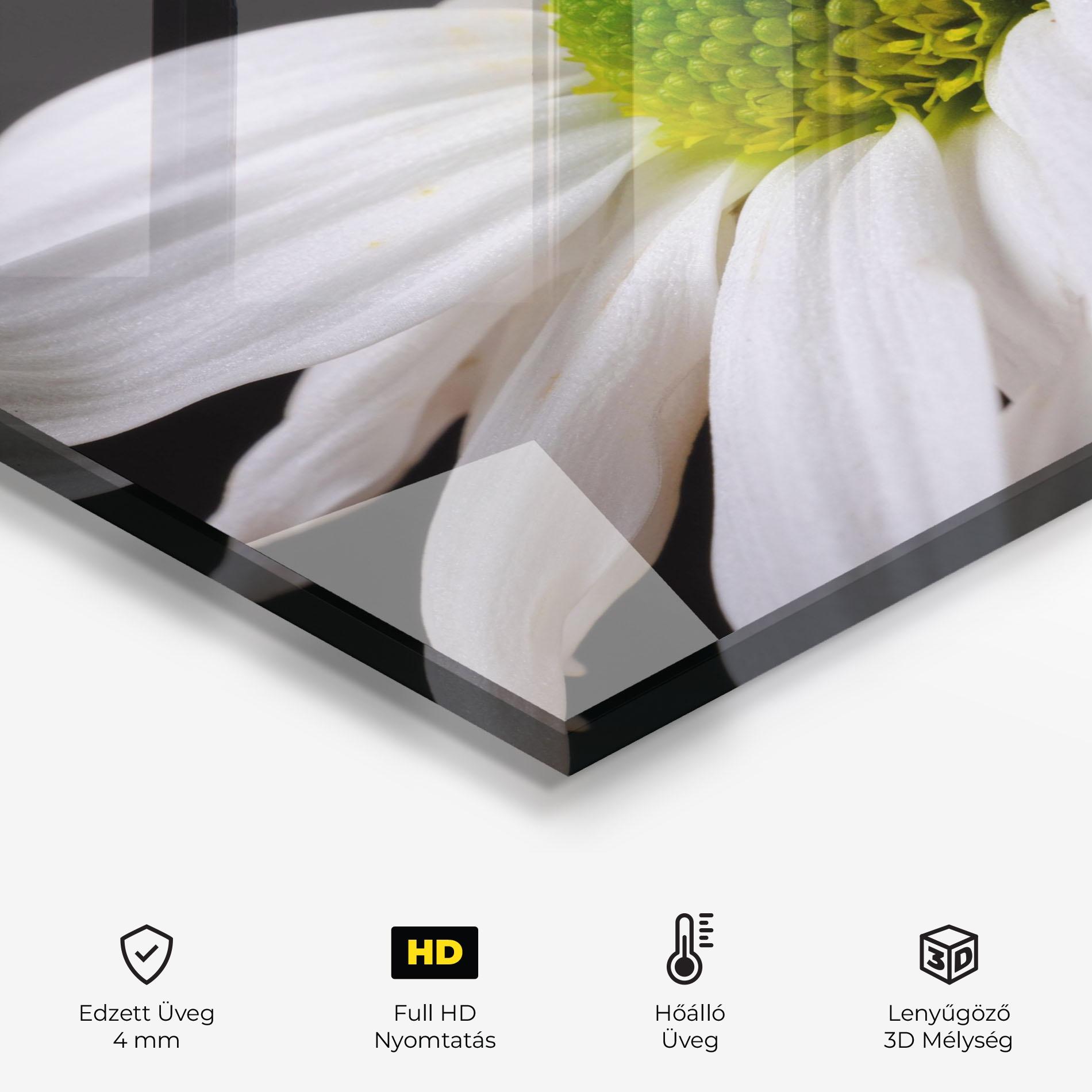 Konyhai üveg hátfal Green Middle Daisy mockup 2