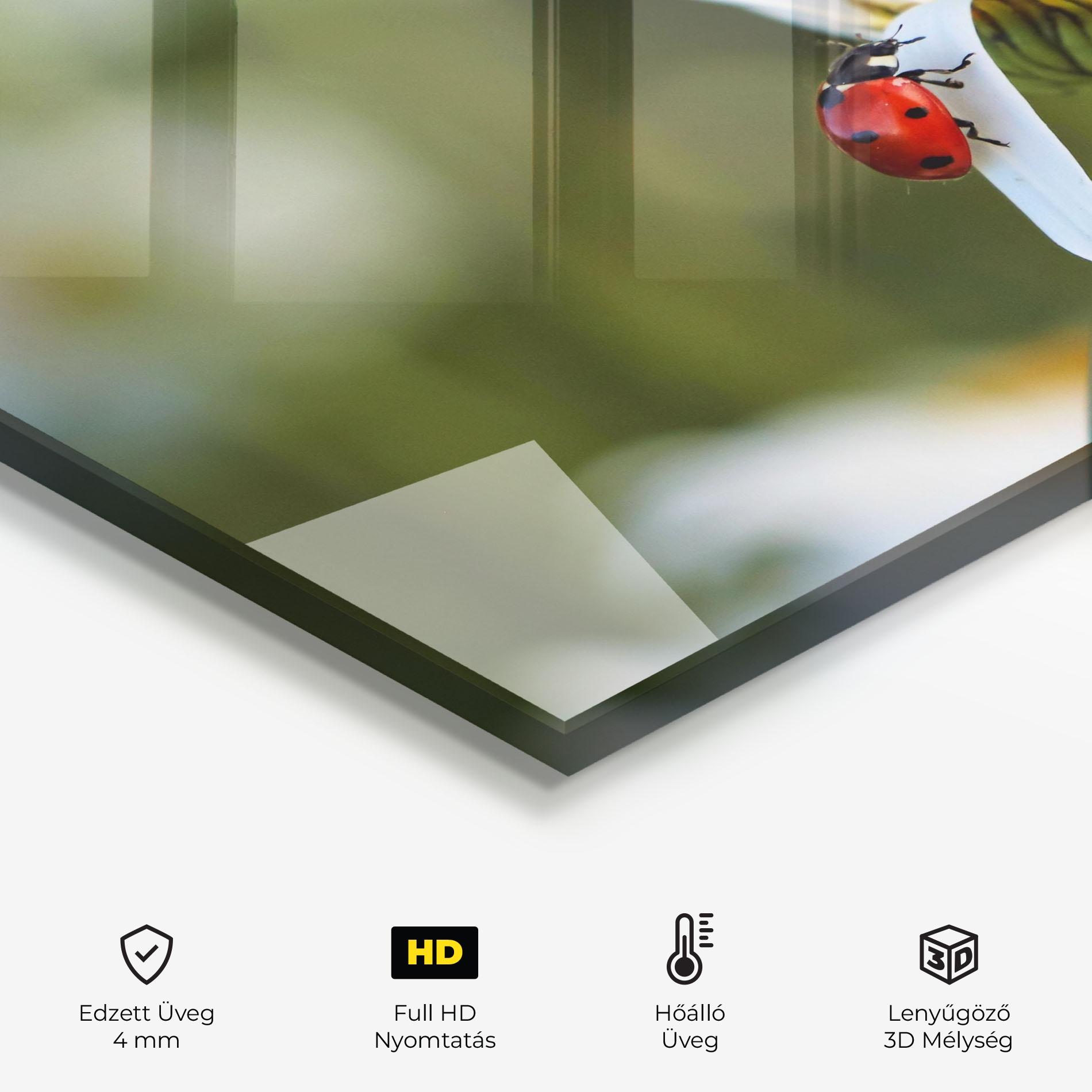 Konyhai üveg hátfal Ladybug On Daisy Petal mockup 2