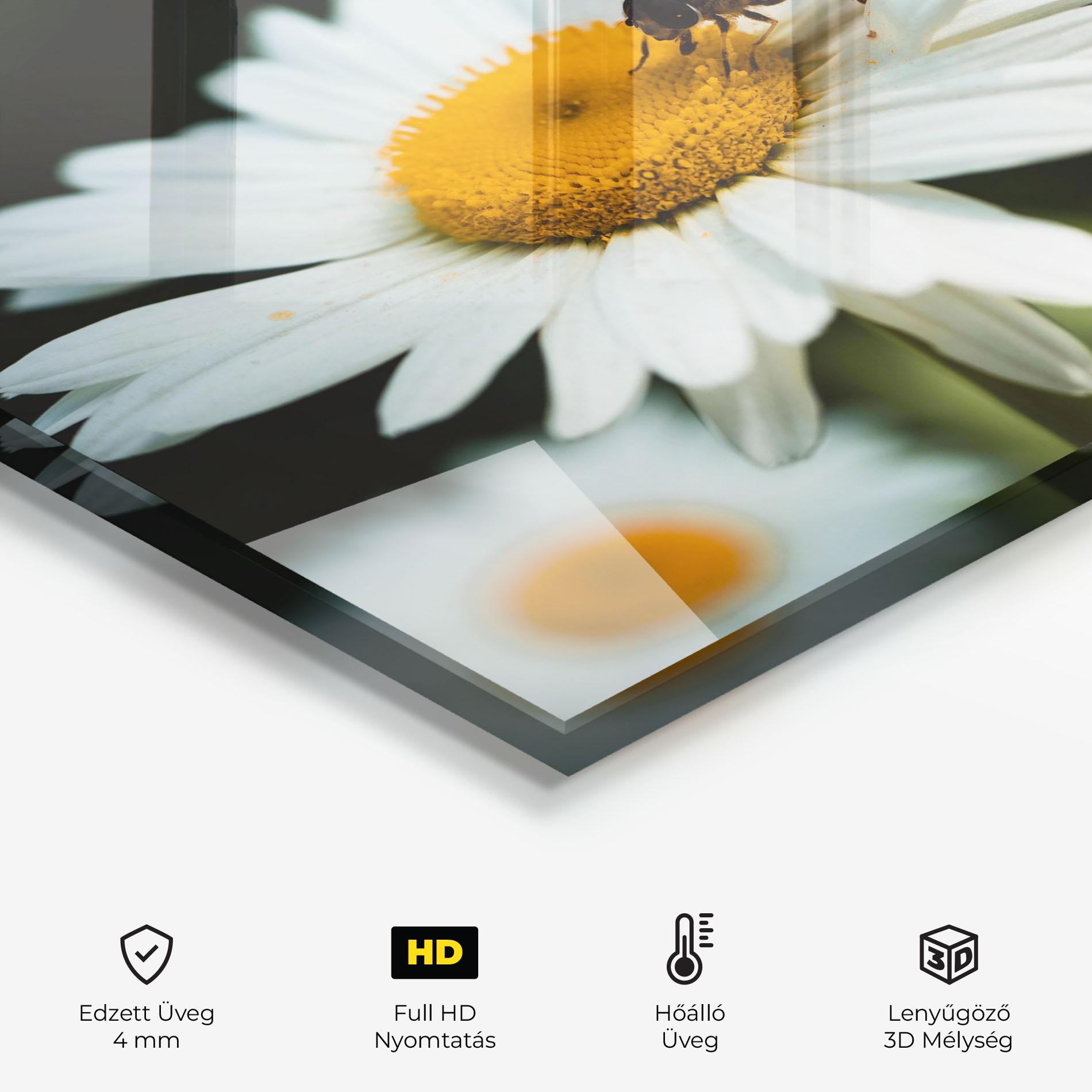 Konyhai üveg hátfal Pollen From Daisy mockup 2