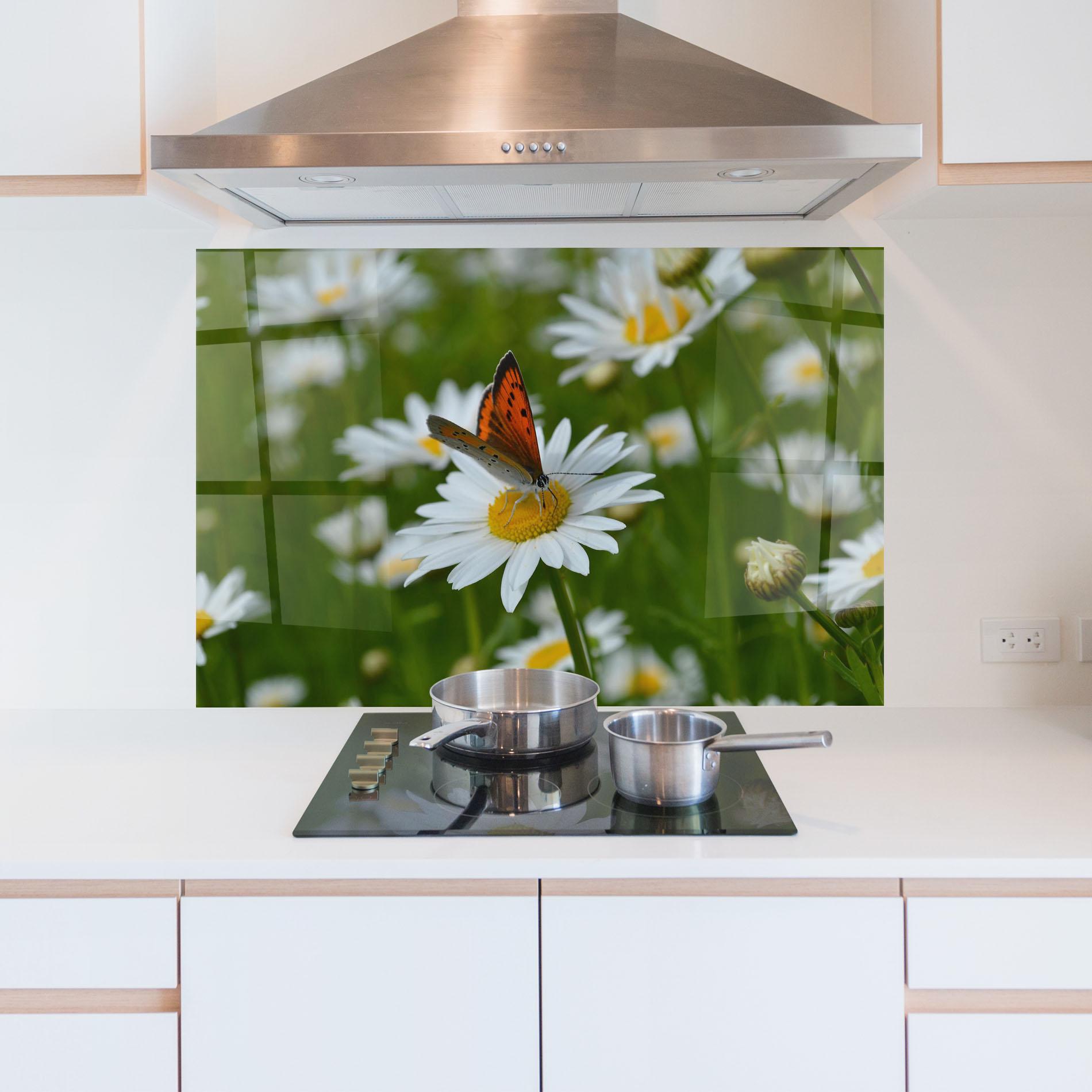 Konyhai üveg hátfal Butterfly On Daisy mockup 5