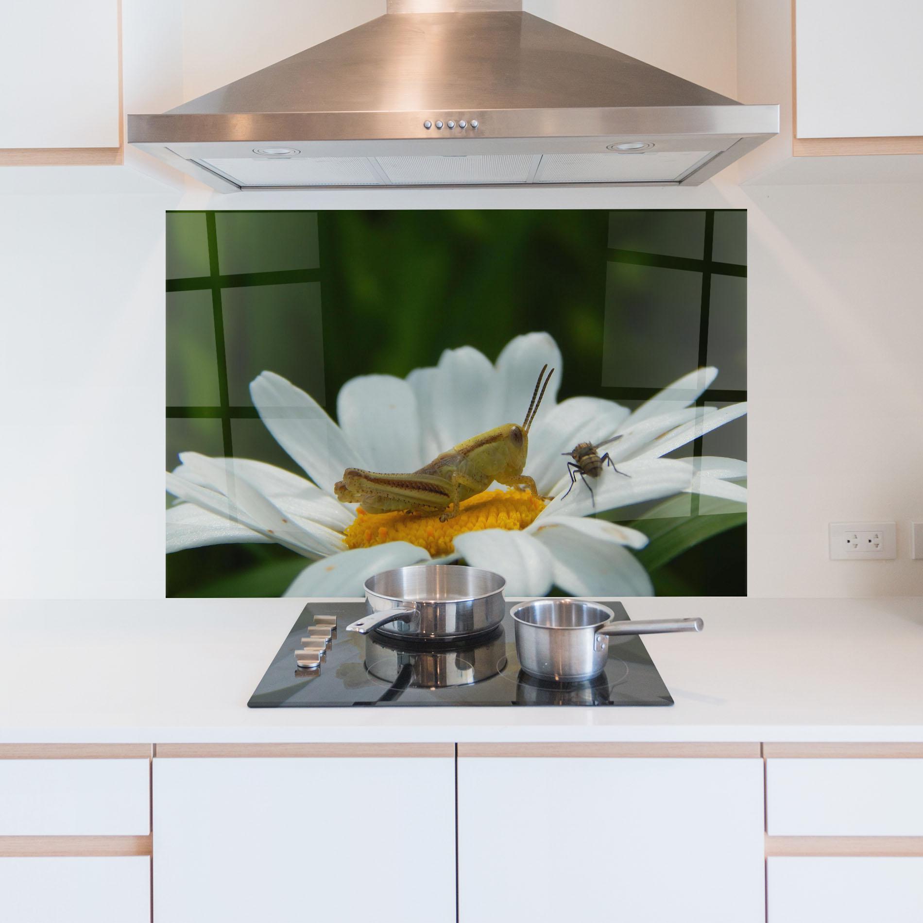 Konyhai üveg hátfal Cricket On Daisy mockup 5