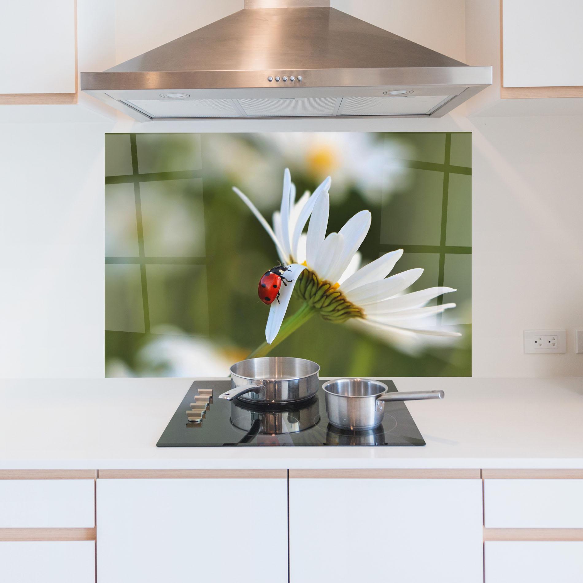 Konyhai üveg hátfal Ladybug On Daisy Petal mockup 5