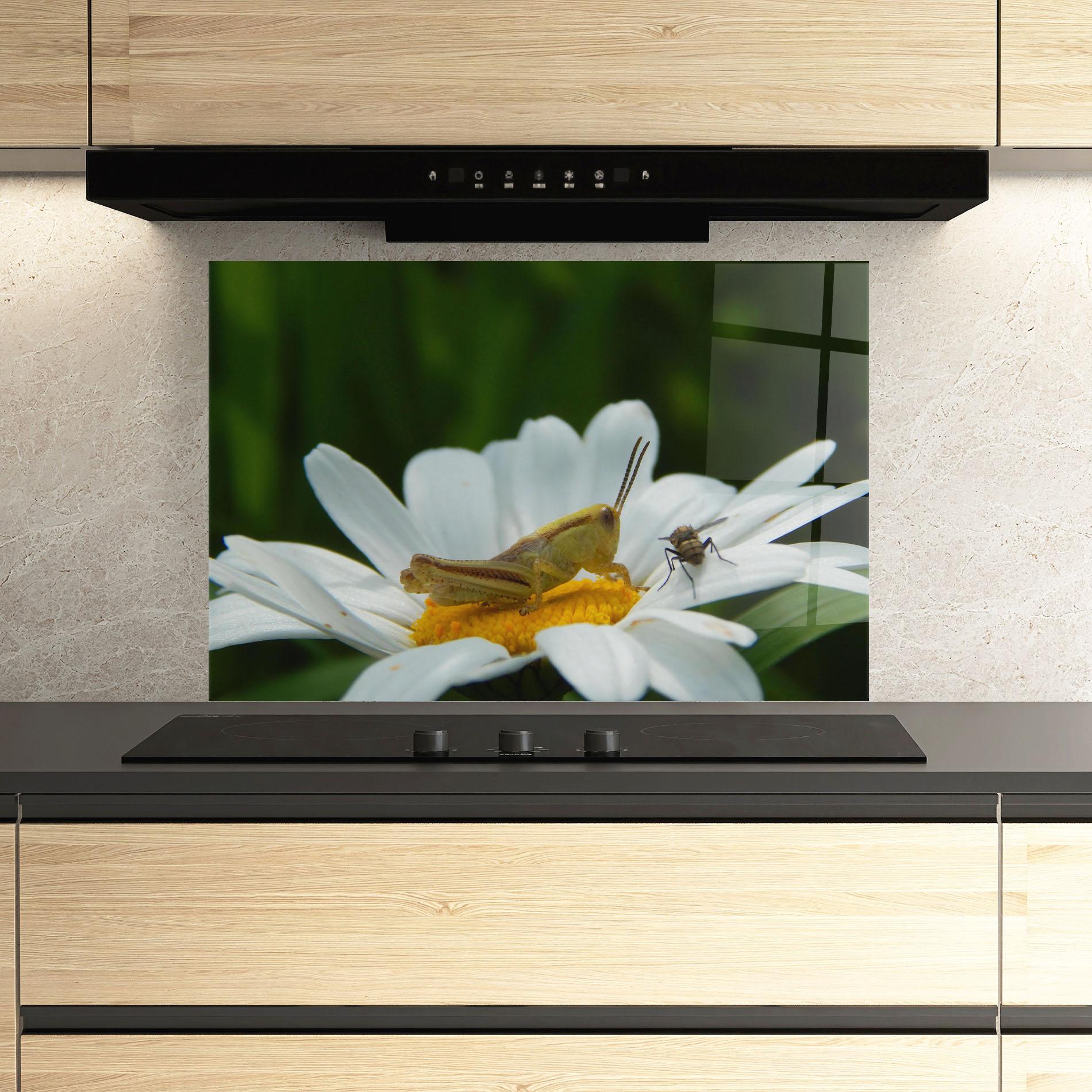 Konyhai üveg hátfal Cricket On Daisy mockup 3