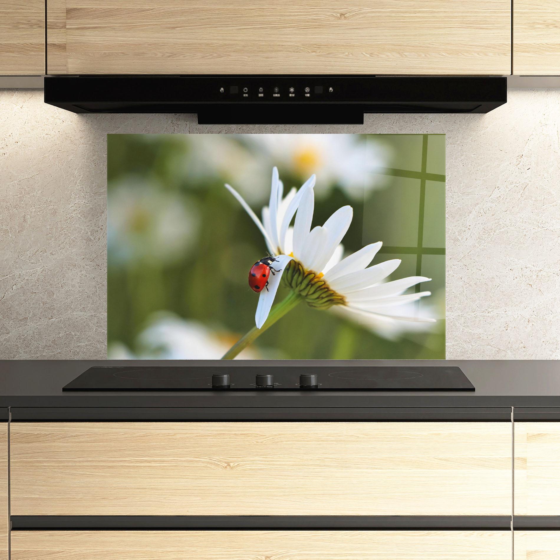 Konyhai üveg hátfal Ladybug On Daisy Petal mockup 3