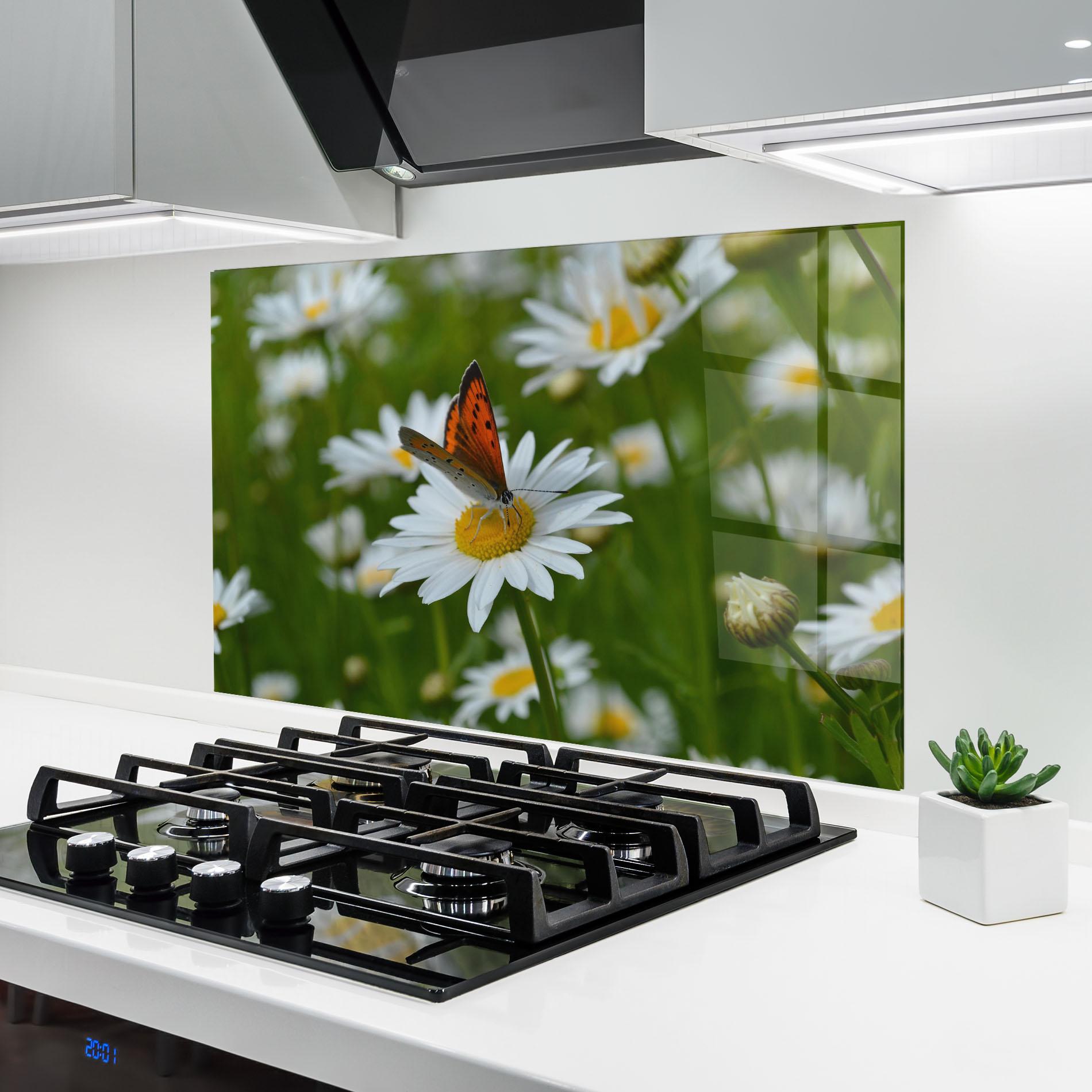 Konyhai üveg hátfal Butterfly On Daisy mockup 6