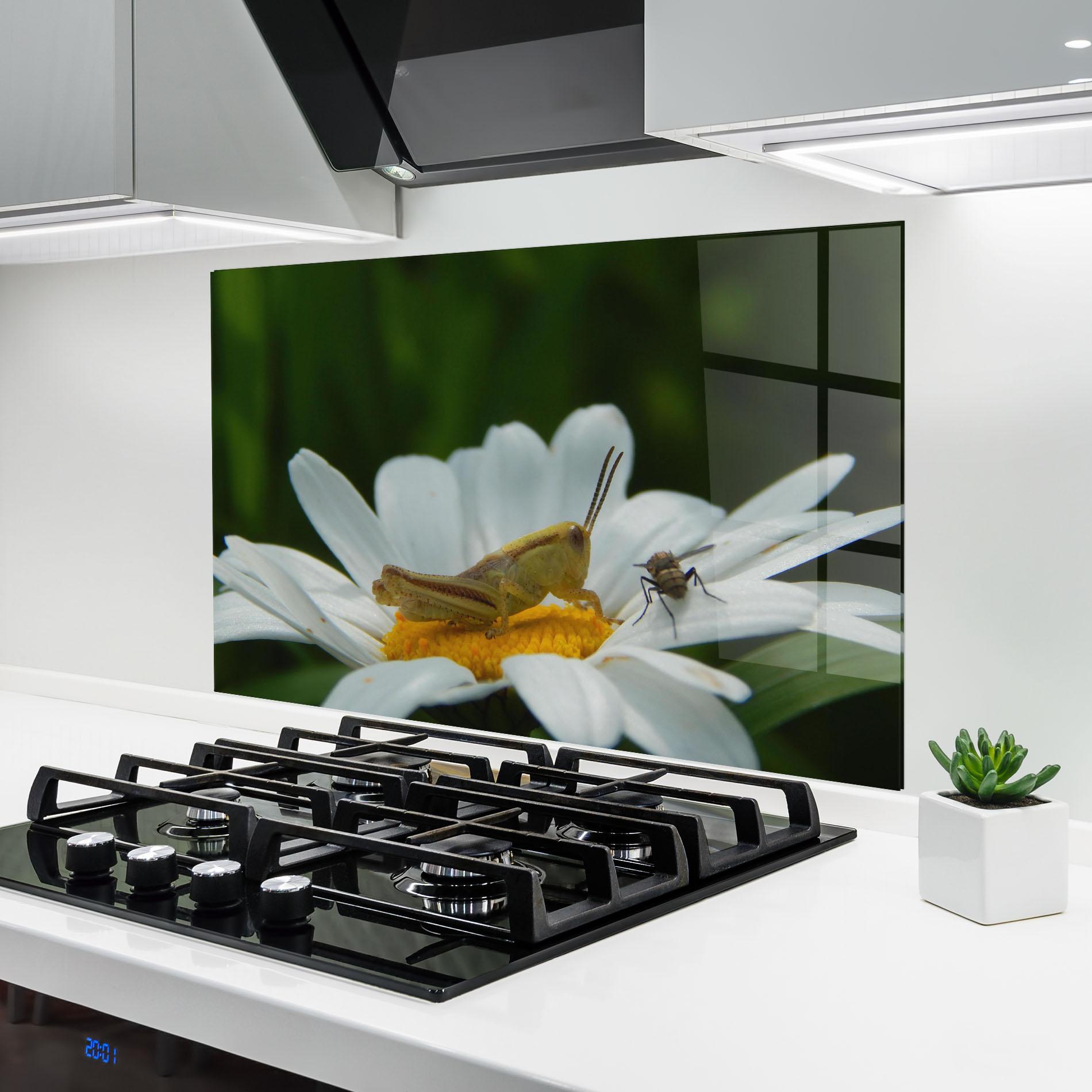 Konyhai üveg hátfal Cricket On Daisy mockup 6