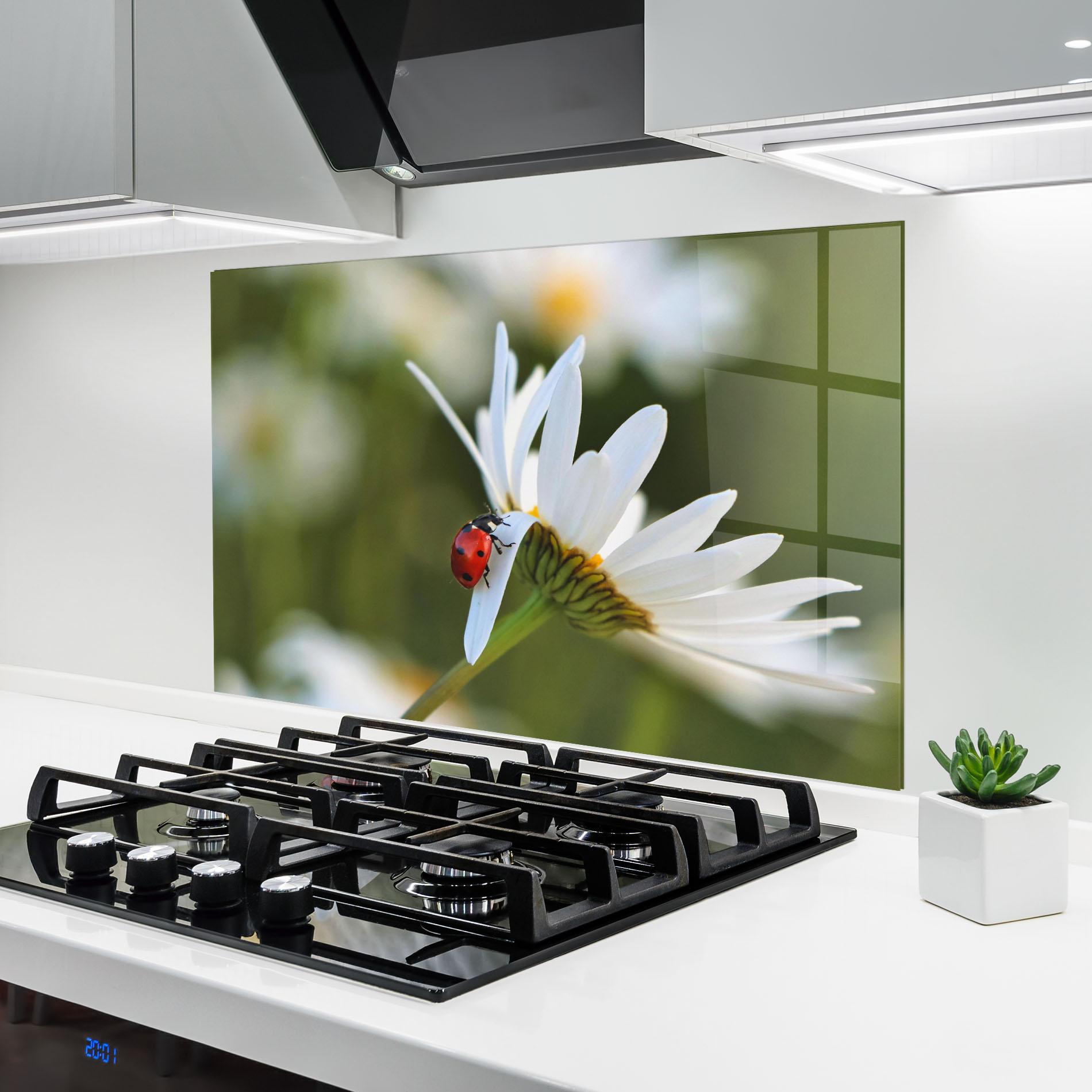 Konyhai üveg hátfal Ladybug On Daisy Petal mockup 6