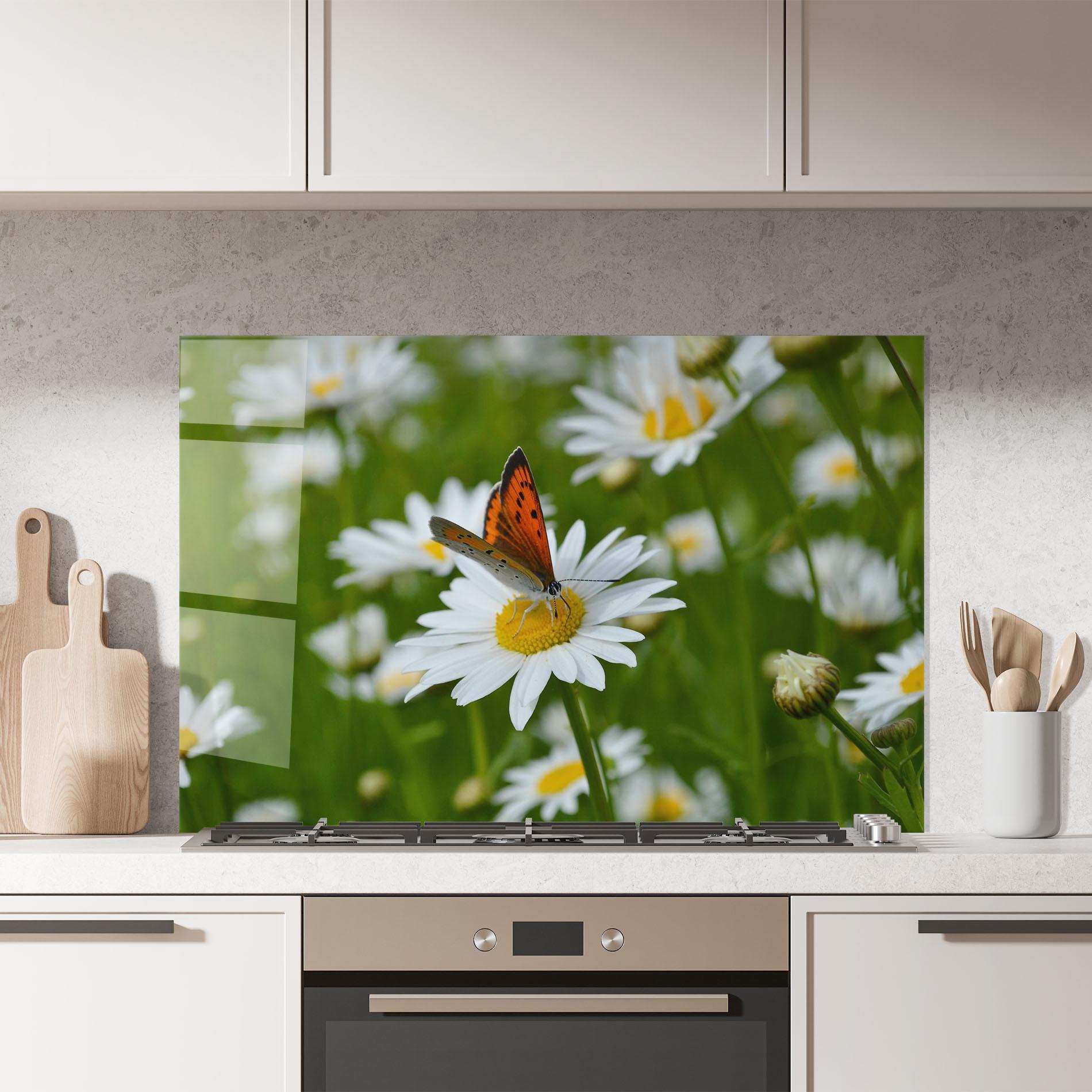 Konyhai üveg hátfal Butterfly On Daisy mockup 7