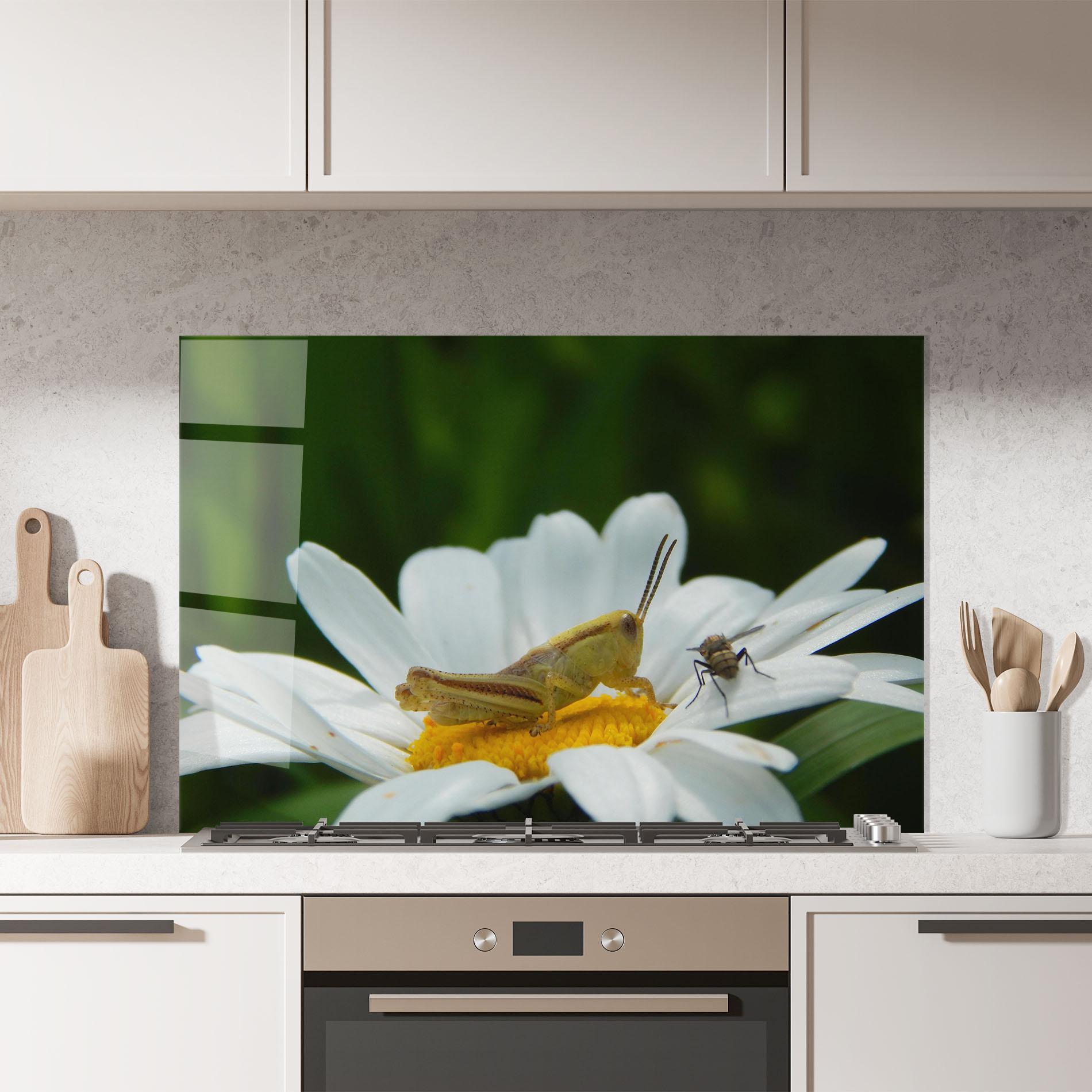 Konyhai üveg hátfal Cricket On Daisy mockup 7