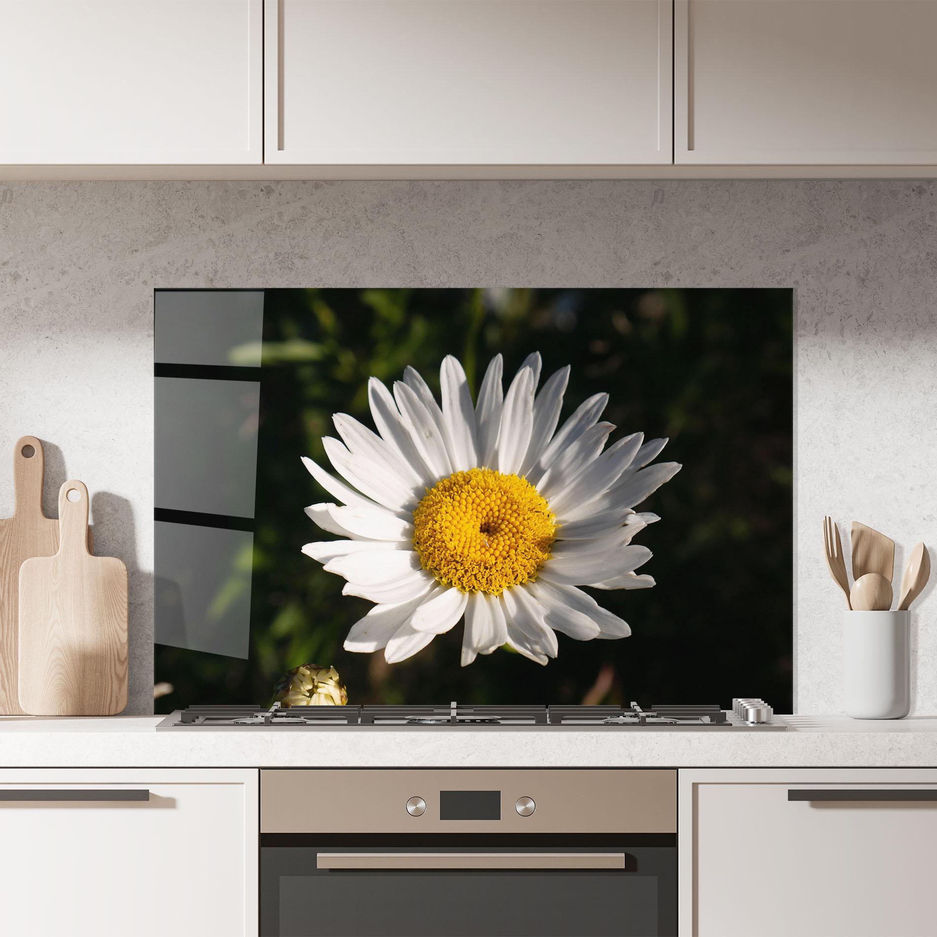 Konyhai üveg hátfal Daisy Enjoying The Sun mockup 7