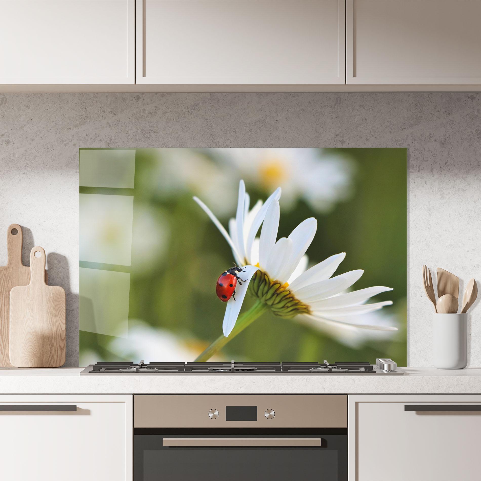Konyhai üveg hátfal Ladybug On Daisy Petal mockup 7