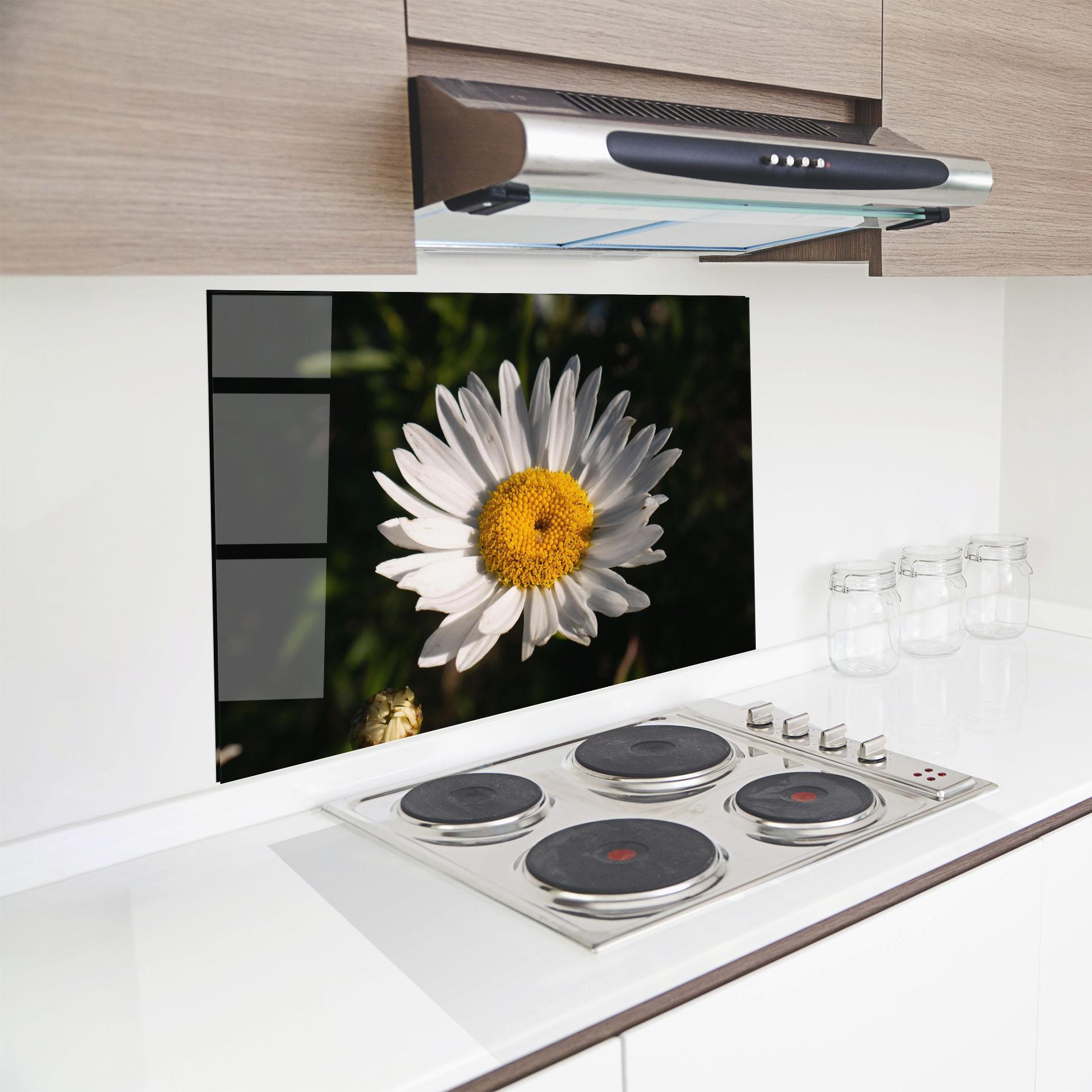 Konyhai üveg hátfal Daisy Enjoying The Sun mockup 8