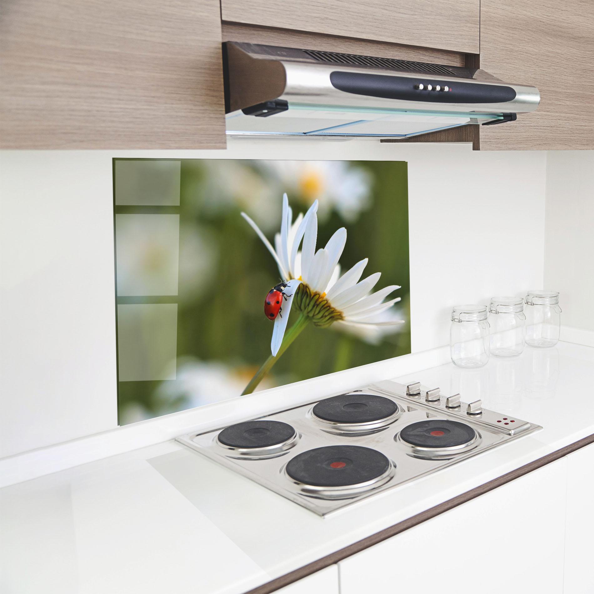 Konyhai üveg hátfal Ladybug On Daisy Petal mockup 8