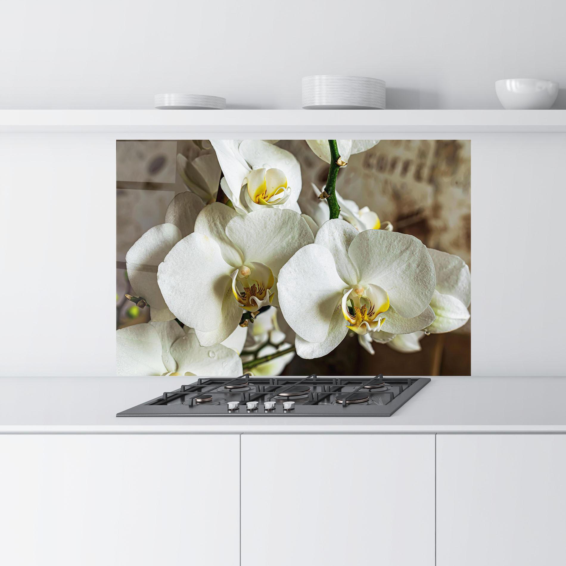 Konyhai üveg hátfal Beautiful White Orchids mockup 9