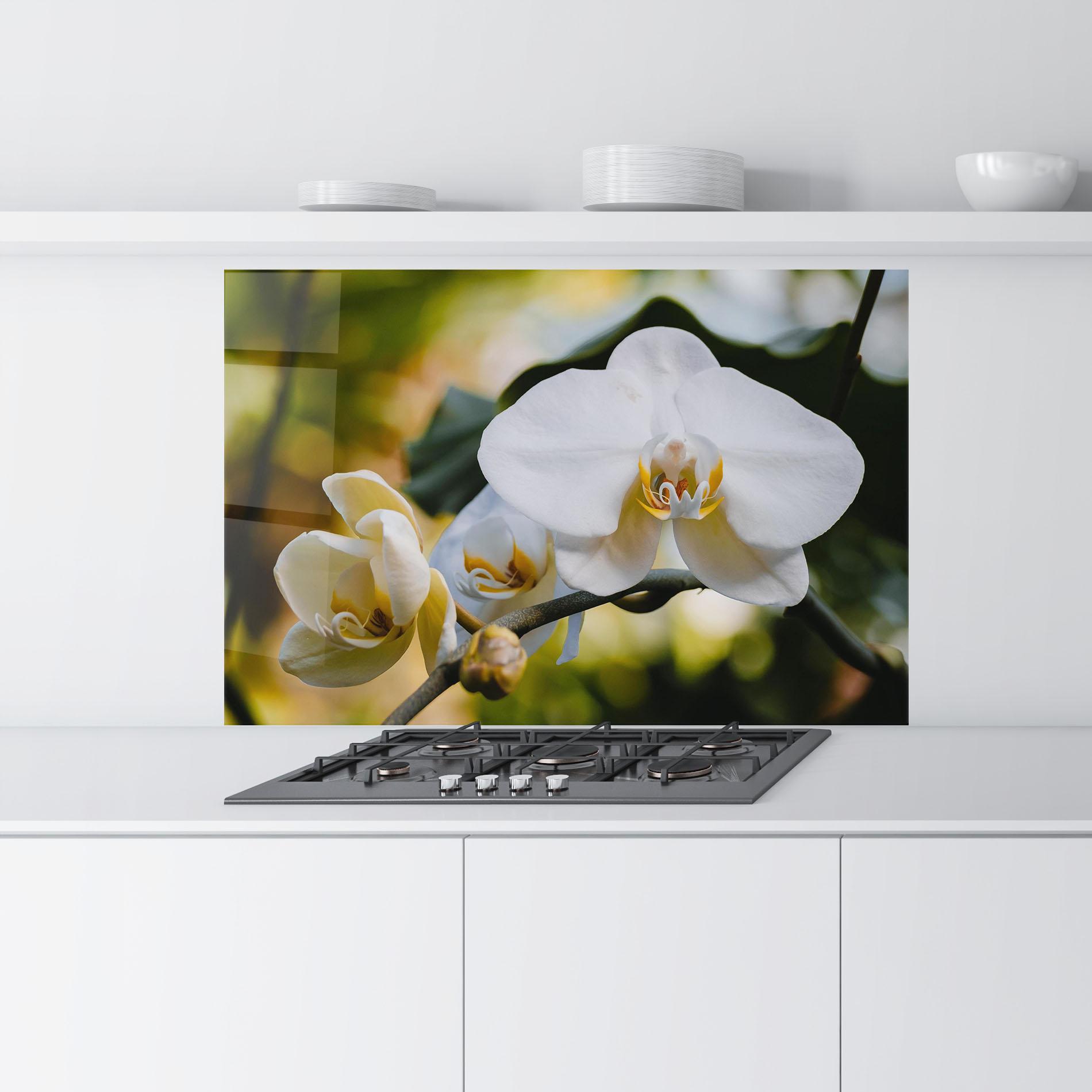Konyhai üveg hátfal Cream Orchid In Nature mockup 9