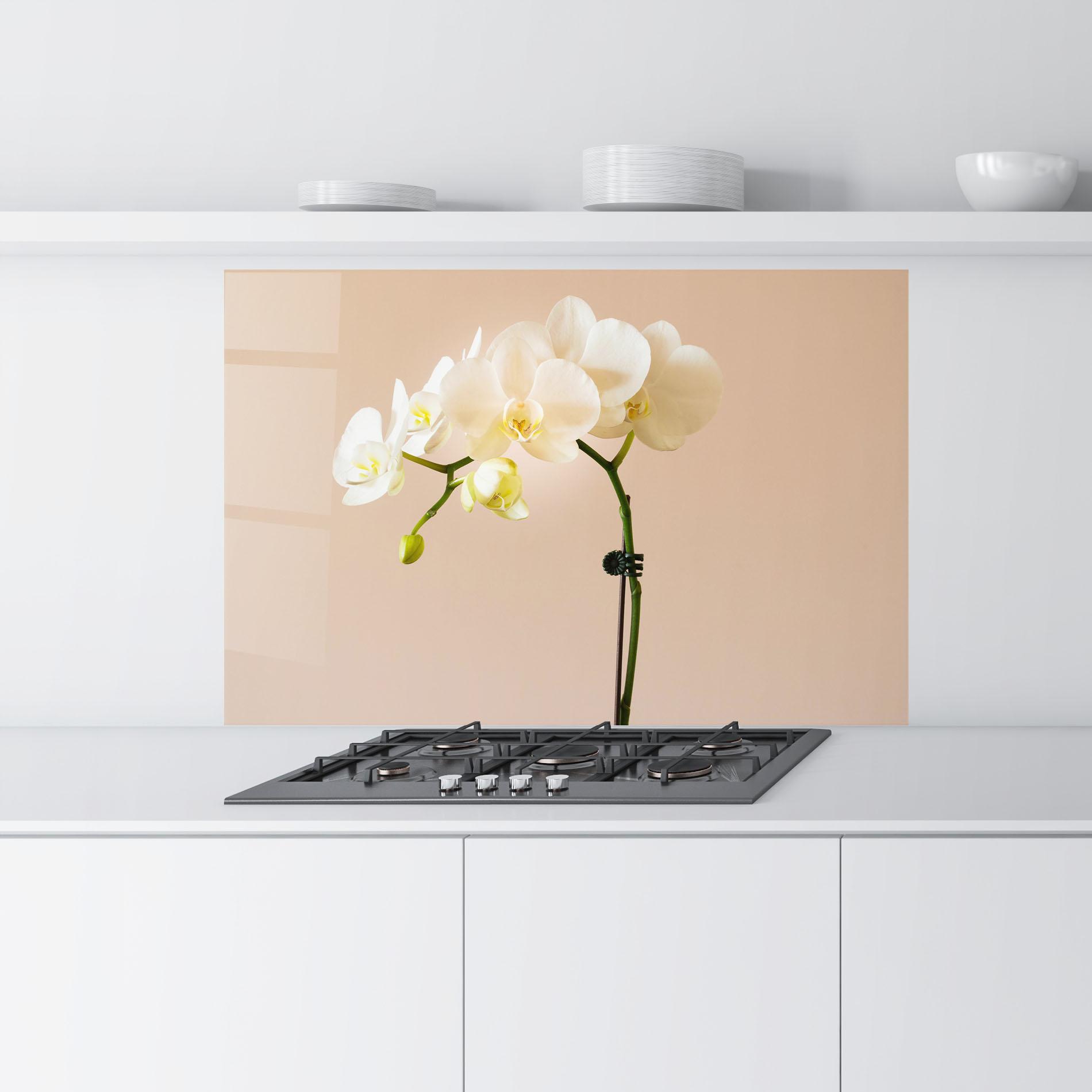 Konyhai üveg hátfal Cream Orchid On Pink mockup 9