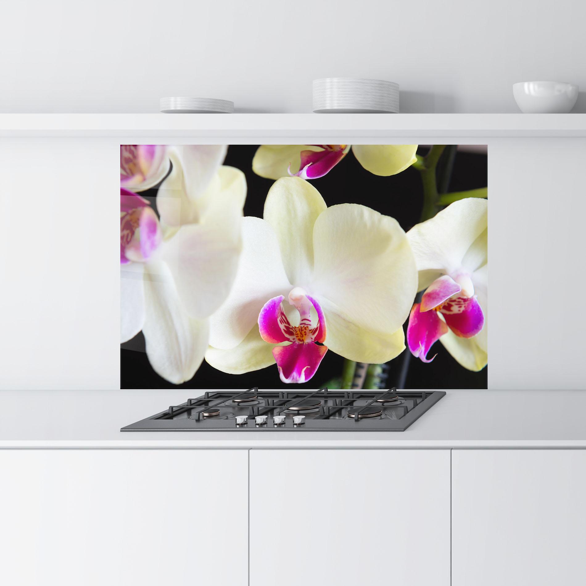 Konyhai üveg hátfal Cream Purple Orchids mockup 9