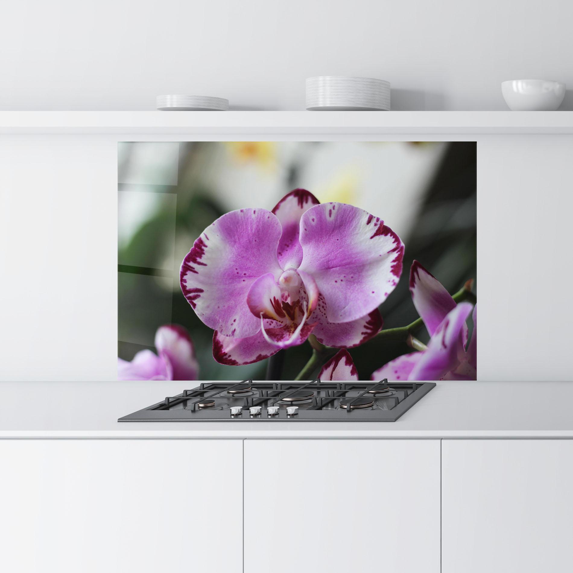 Konyhai üveg hátfal Dark Purple Orchids In Nature mockup 9