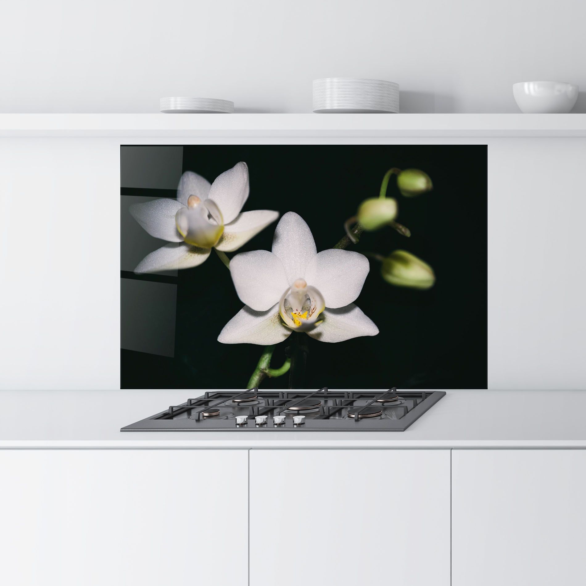 Orchids On Black mockup 9
