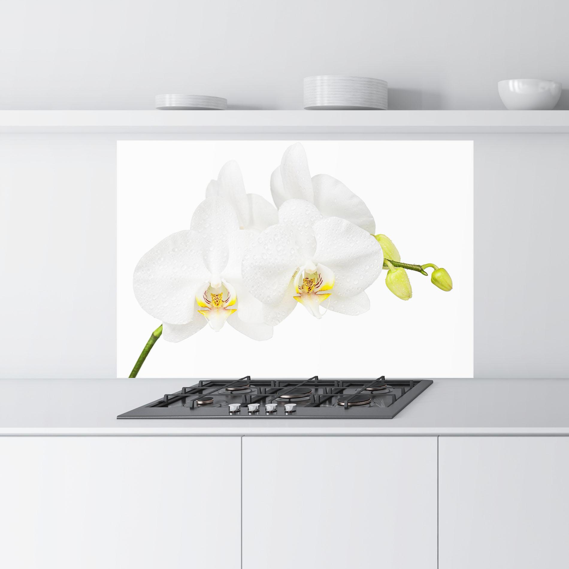 Konyhai üveg hátfal Orchids On White mockup 9
