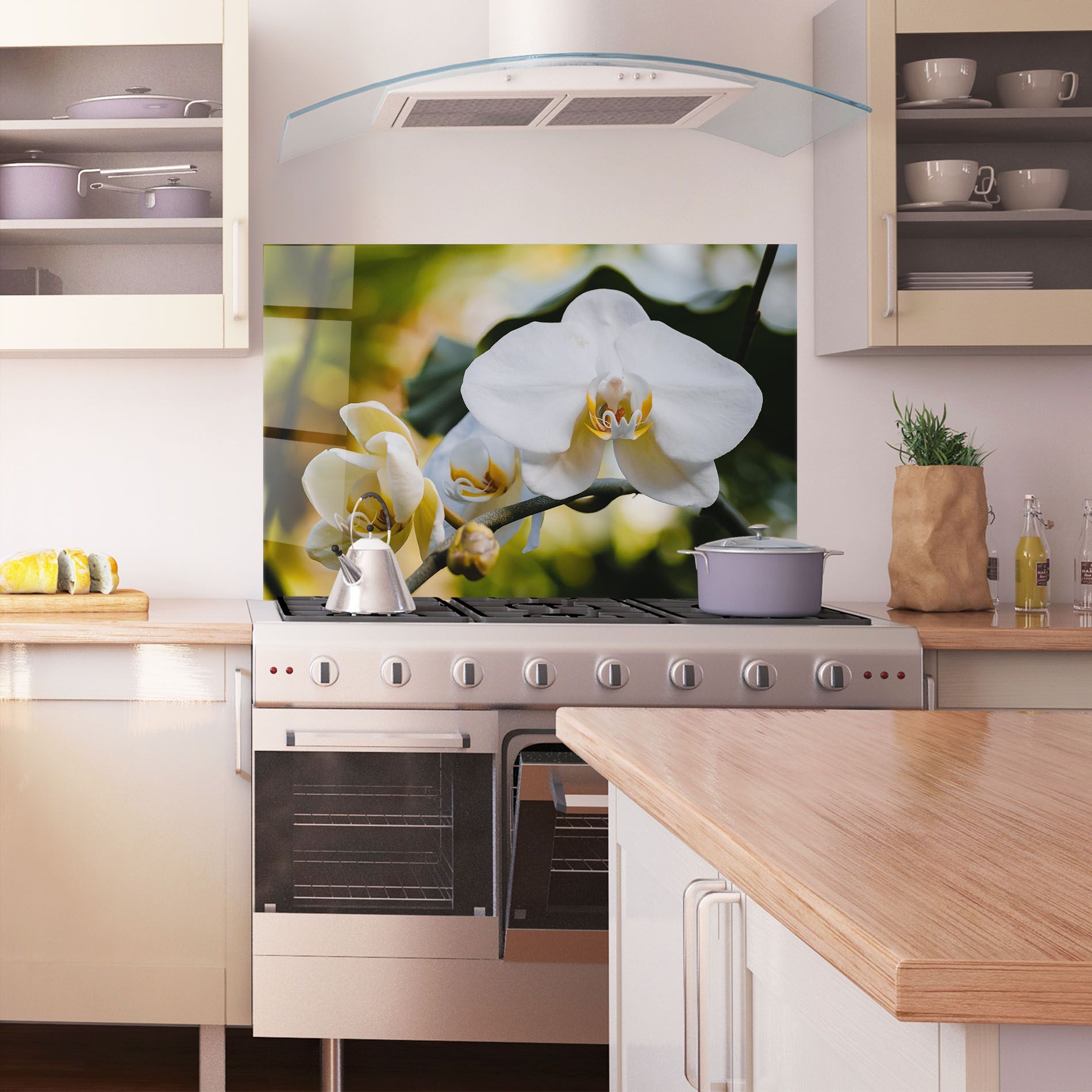 Cream Orchid In Nature mockup 1