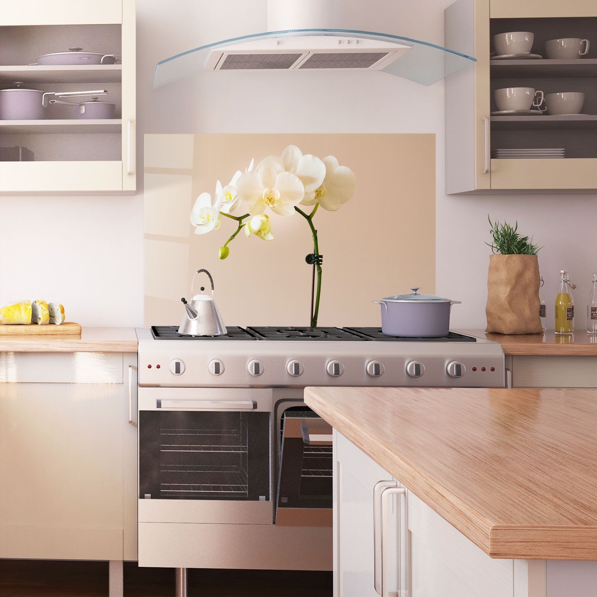 Cream Orchid On Pink mockup 1