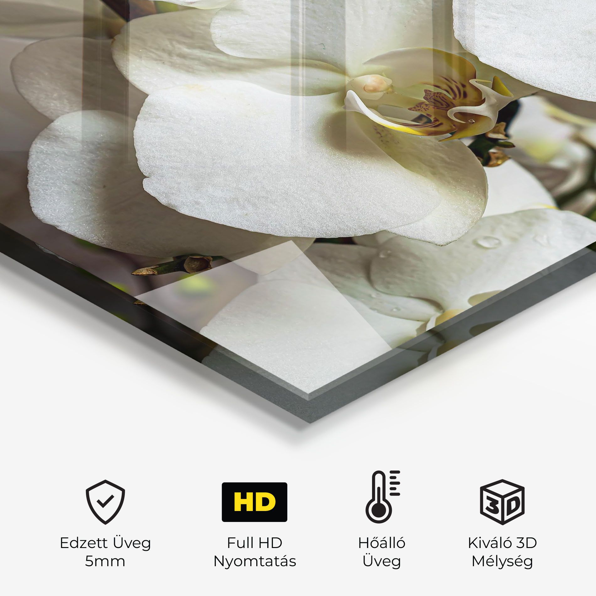 Beautiful White Orchids mockup 2