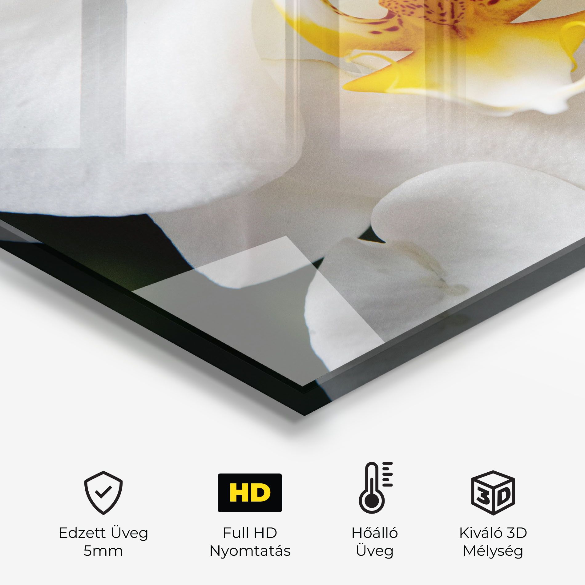 Big Orchid Close Up mockup 2