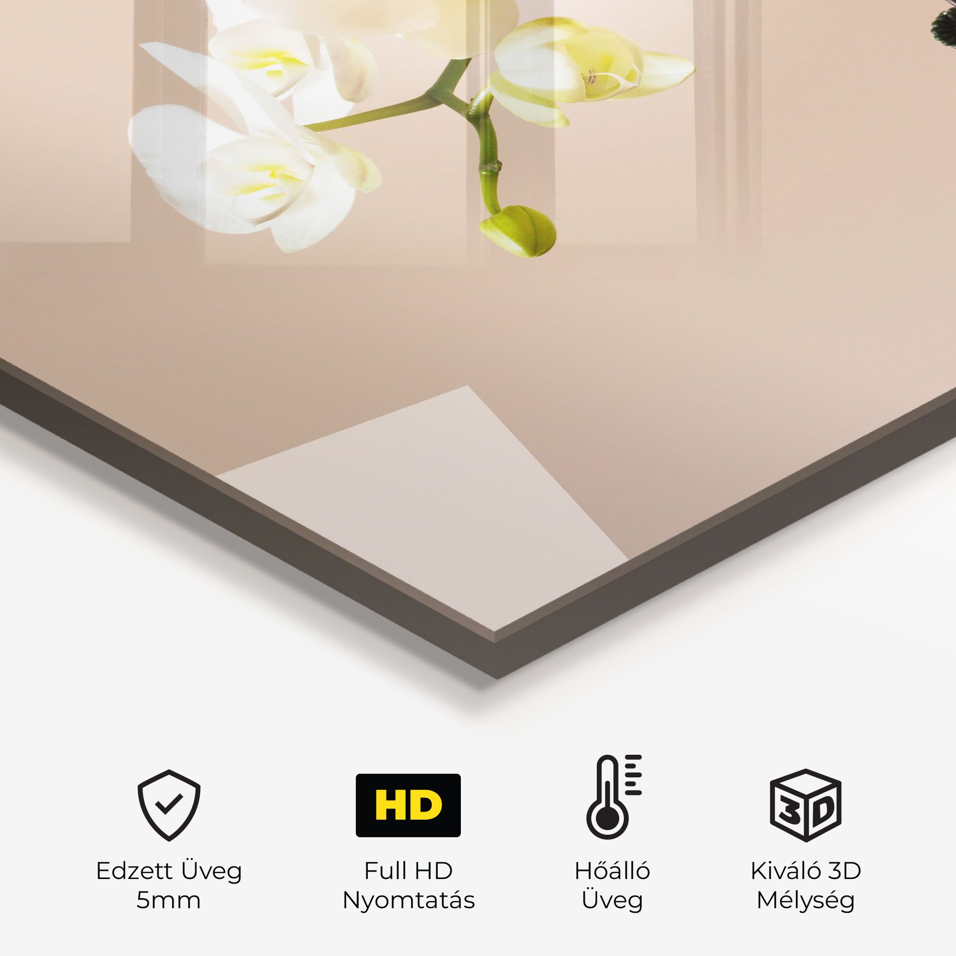 Cream Orchid On Pink mockup 2