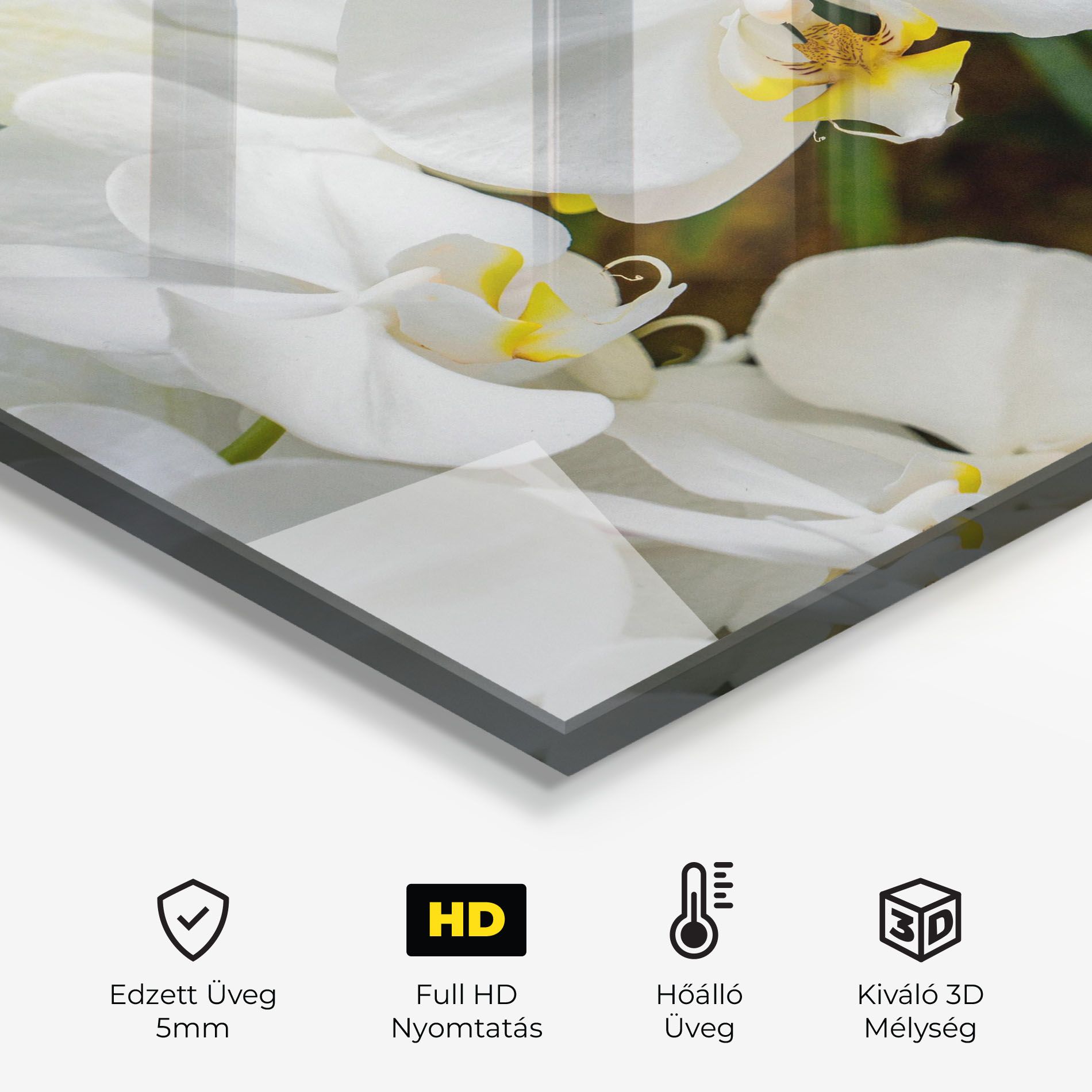 Orchids In Nature mockup 2