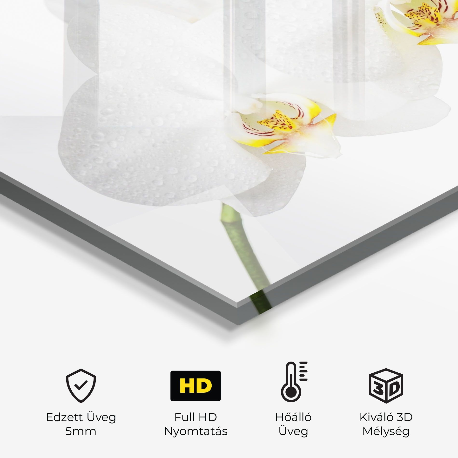 Orchids On White mockup 2