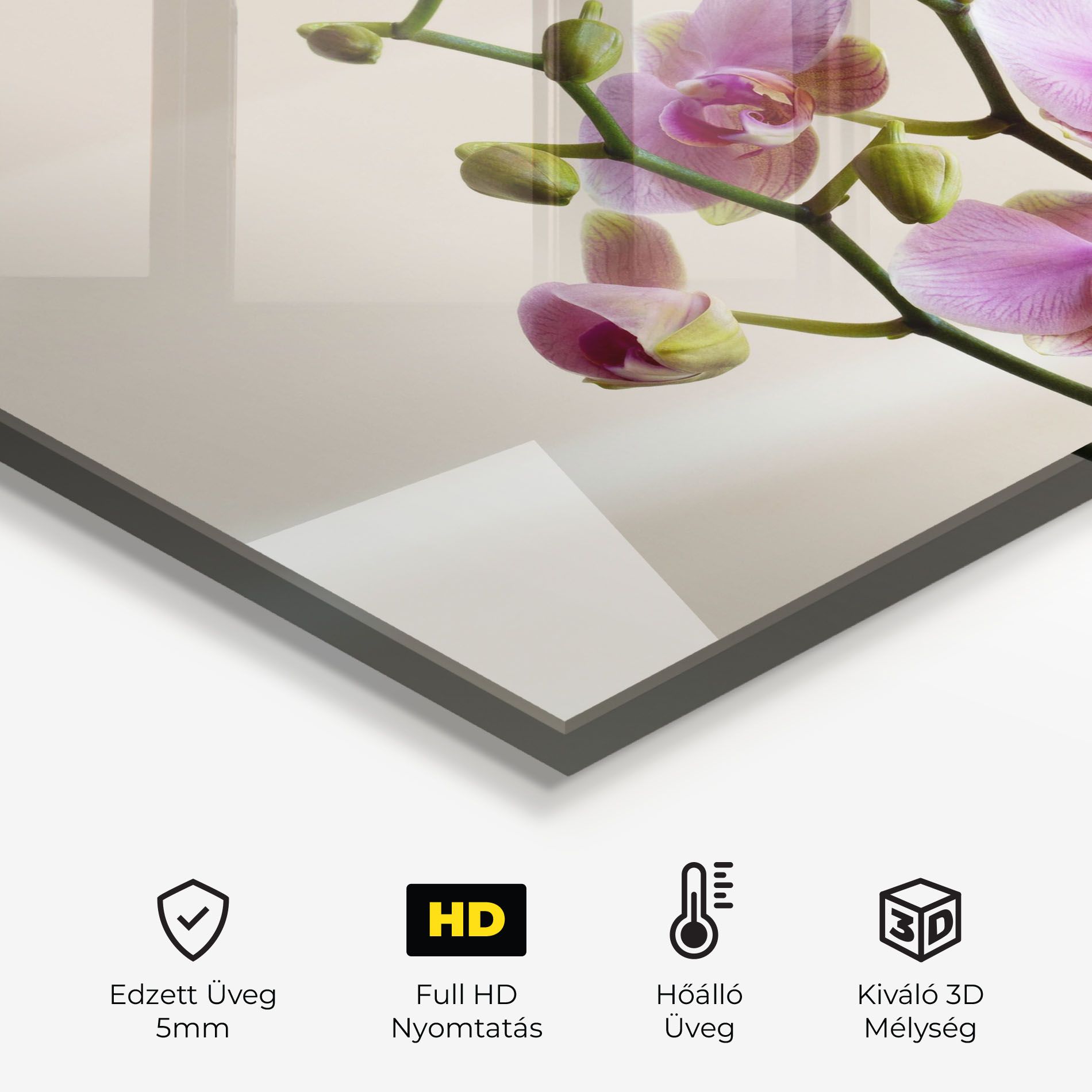 Purple Orchid On Cream mockup 2