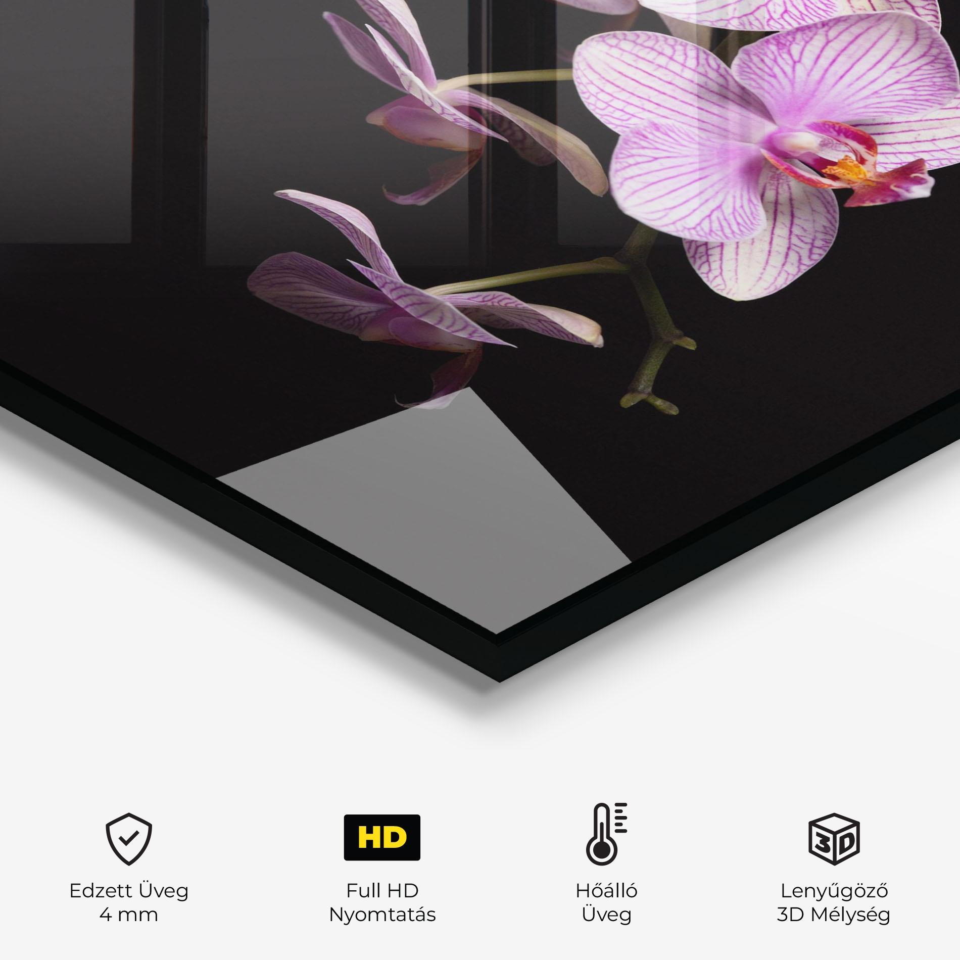 Konyhai üveg hátfal Beautiful Orchids On Black mockup 2