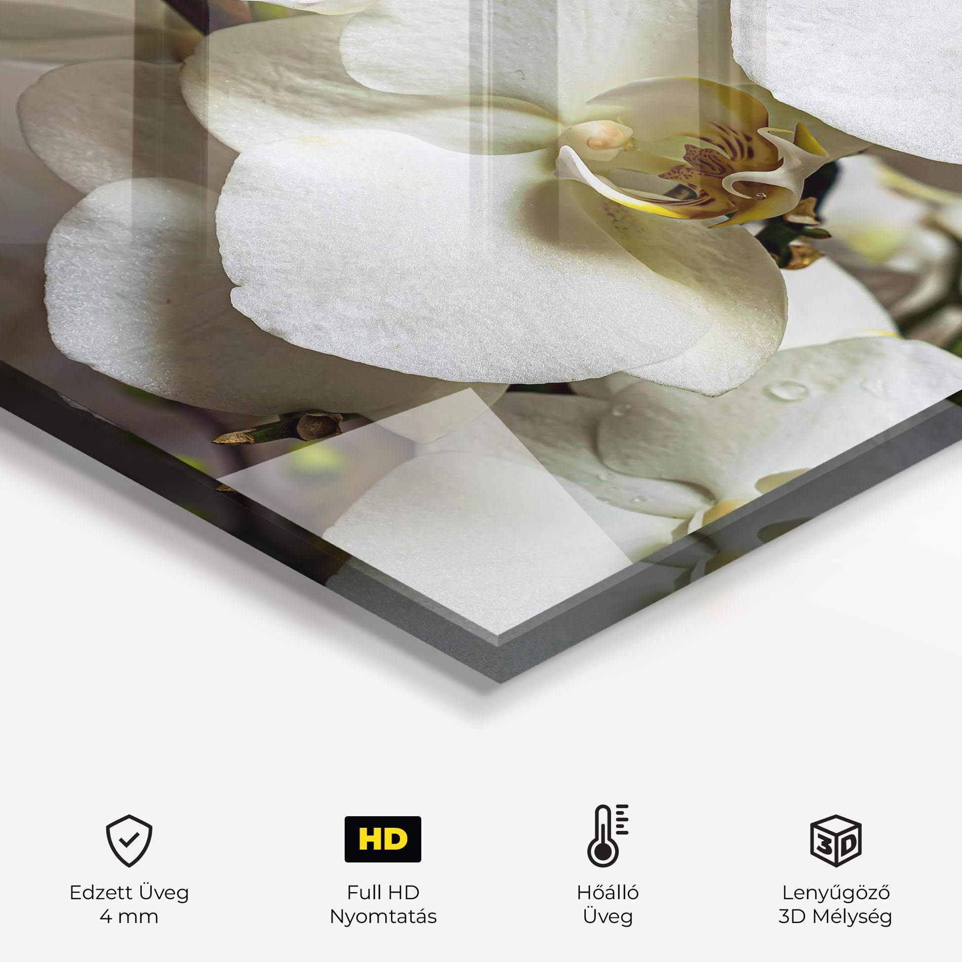 Konyhai üveg hátfal Beautiful White Orchids mockup 2