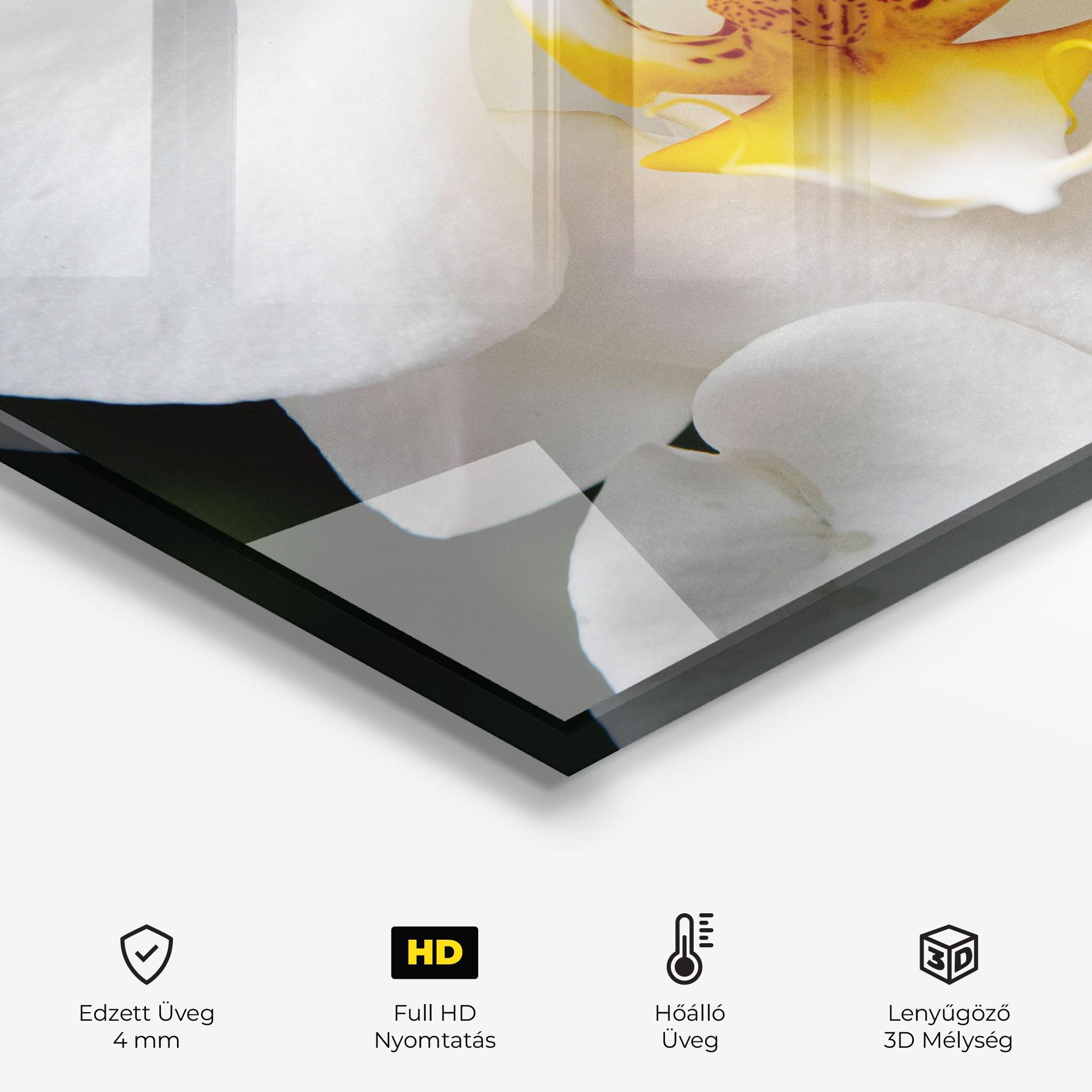 Konyhai üveg hátfal Big Orchid Close Up mockup 2